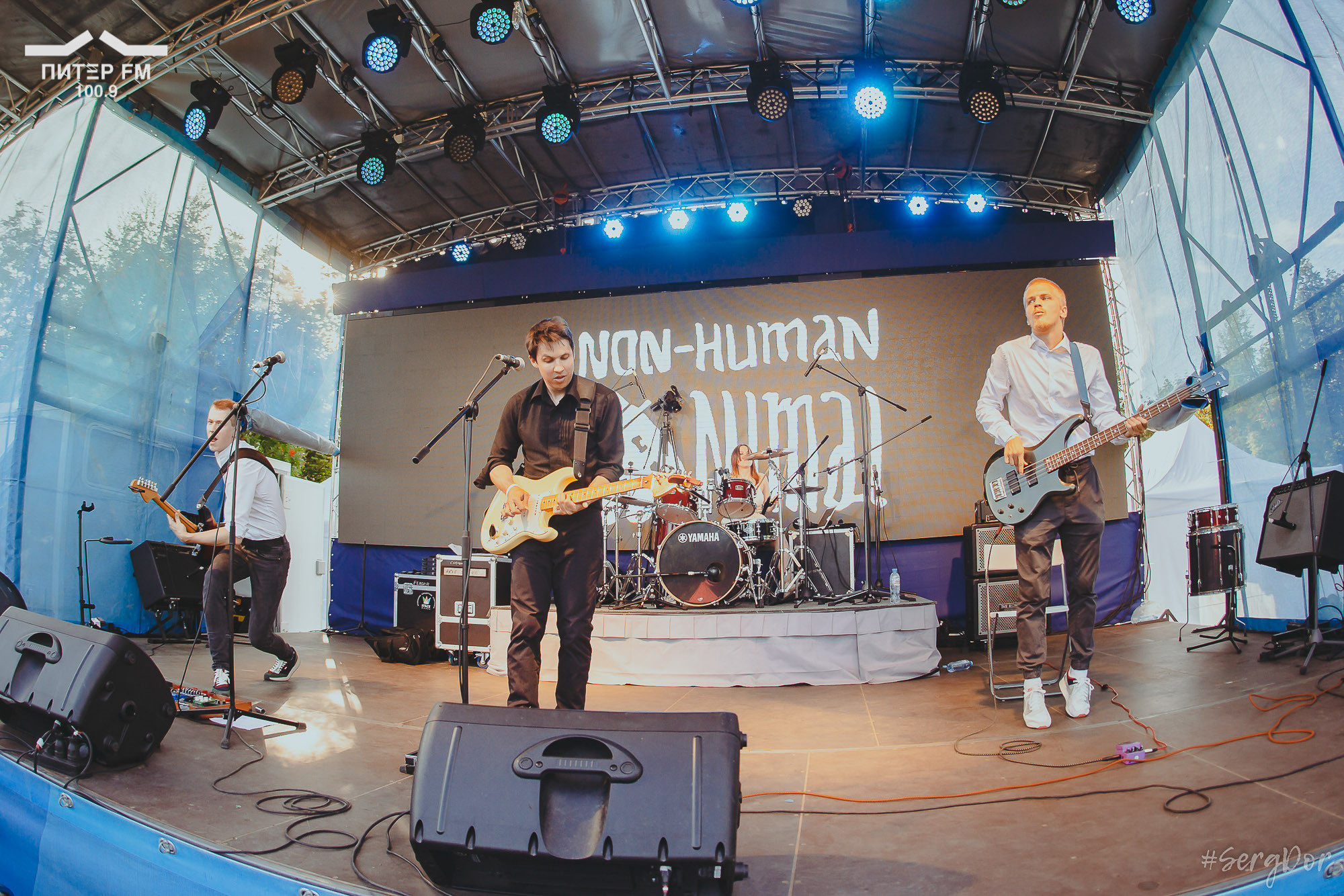 Окна открой, фестиваль, выступление, 05.08.2023, #SergDor, 5 августа 2023 года, SergDor, Питер ФМ
