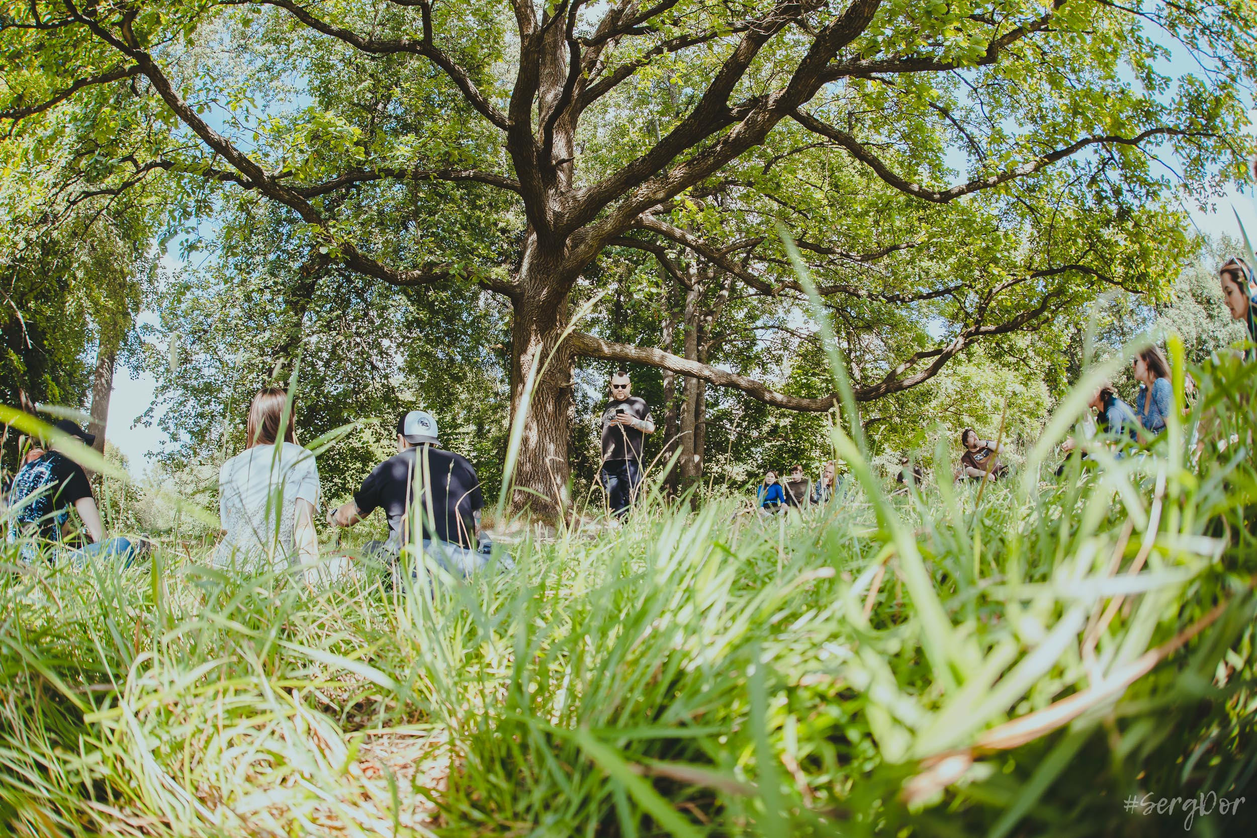Поэтический пикник Вольности, парк, город Пушкин, 22.07.2023, SergDor, 22 июля 2023 года, #SergDor