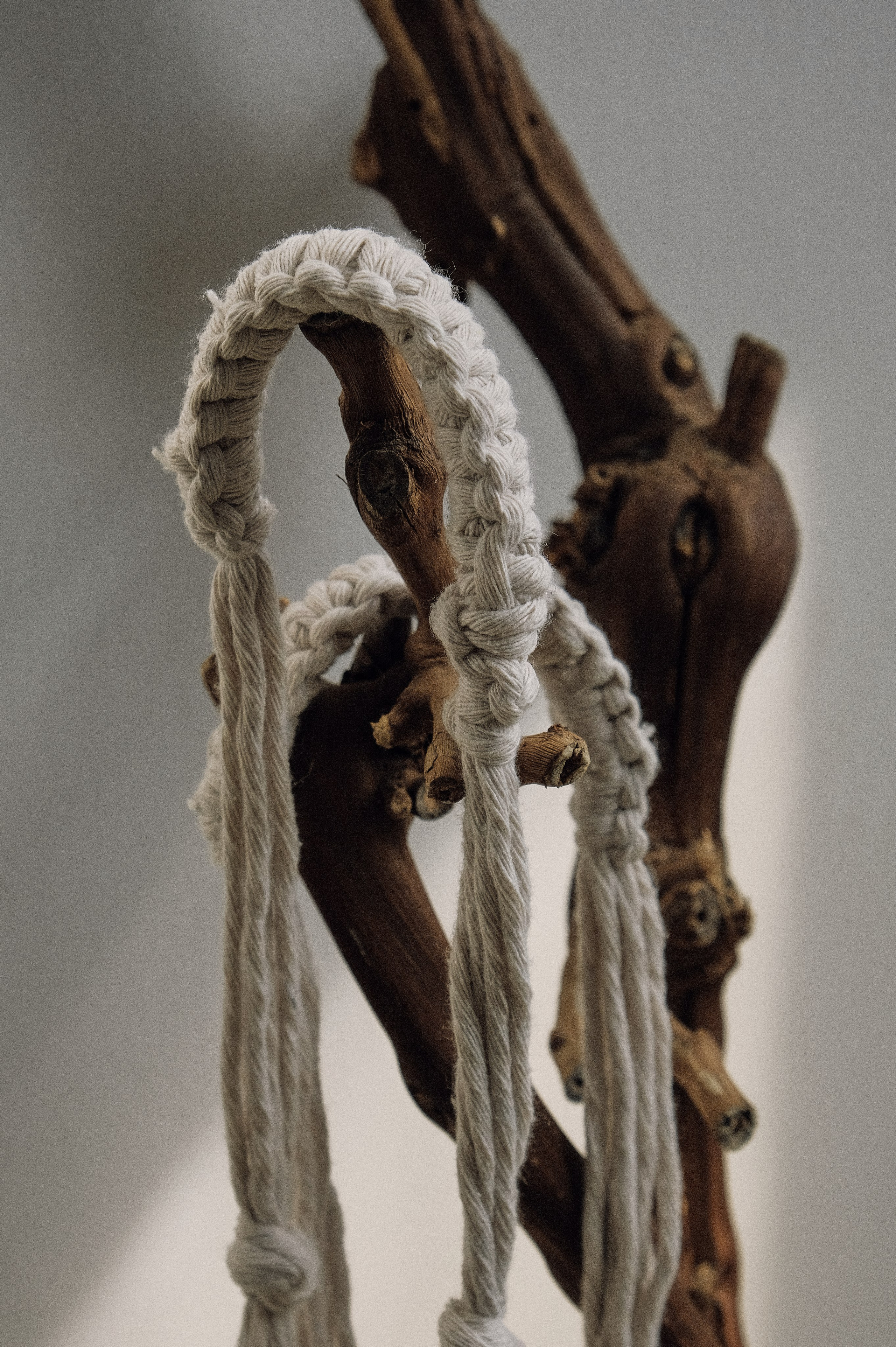 ДИЛ / Studio Lookbook. DISEMICHASNOVA