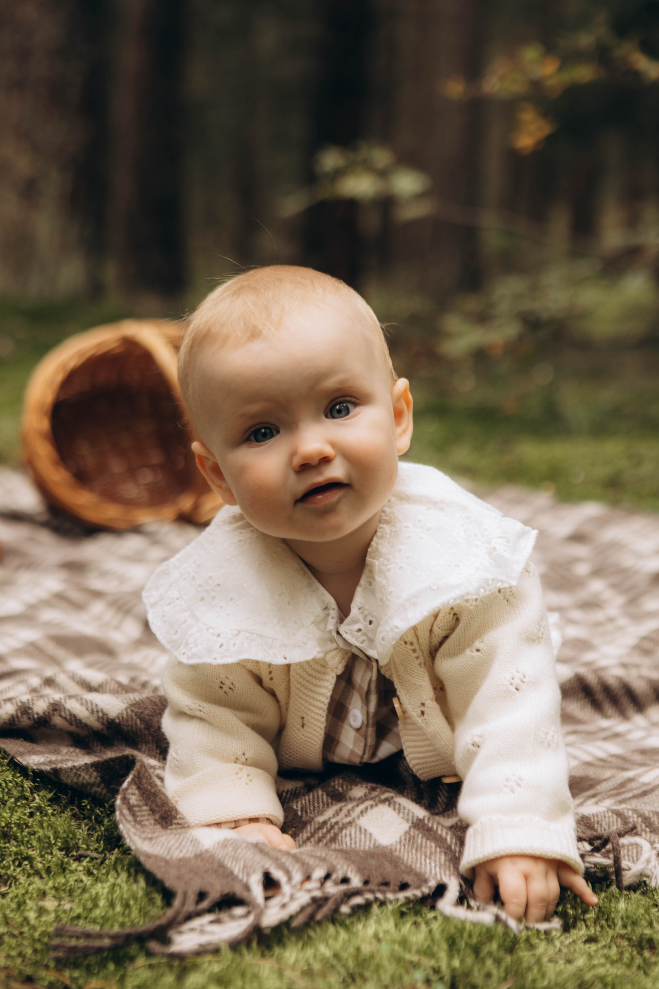 Лесная история. Наталья Косьянова. Ваш фотограф. Москва
