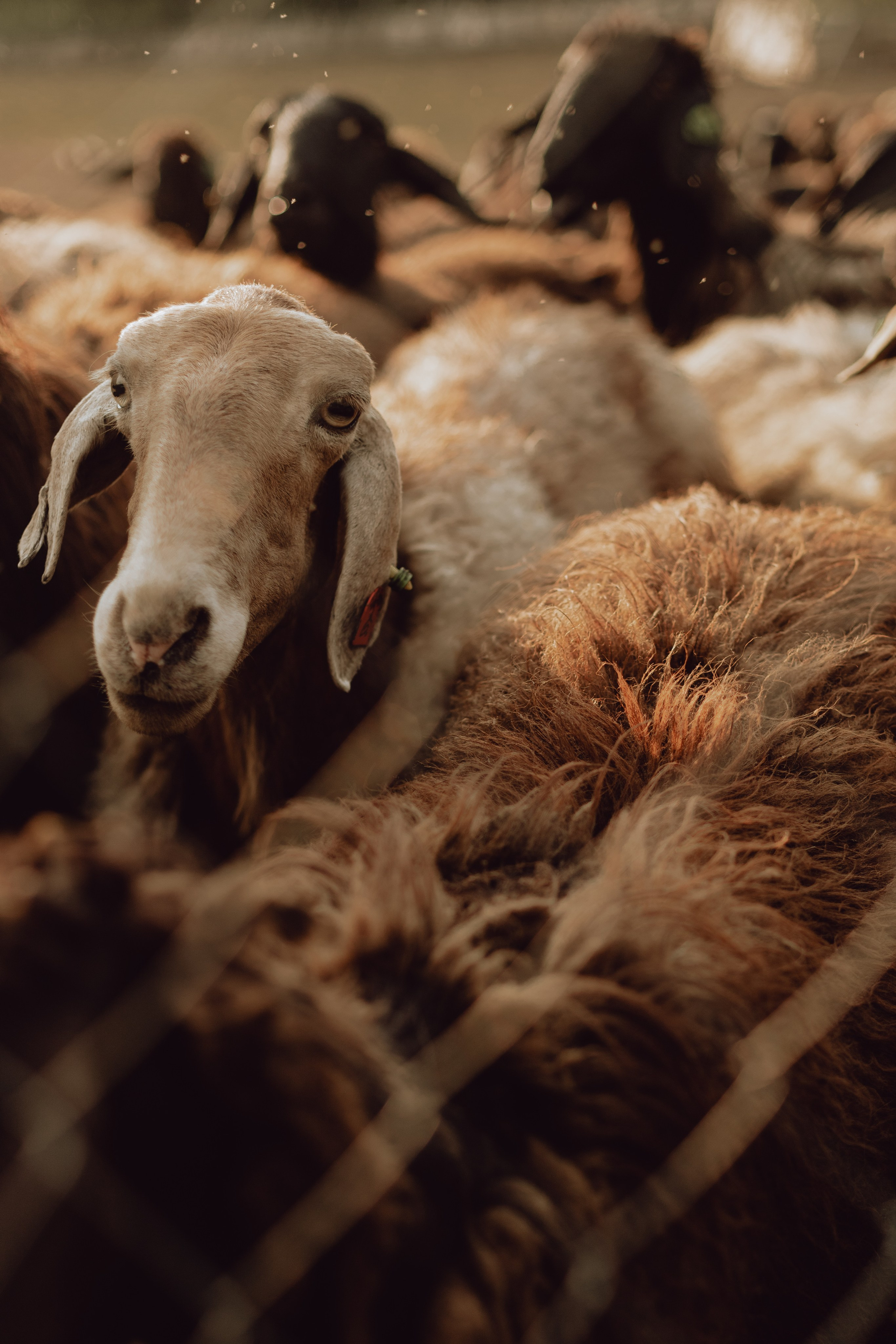 Наташа. Главная