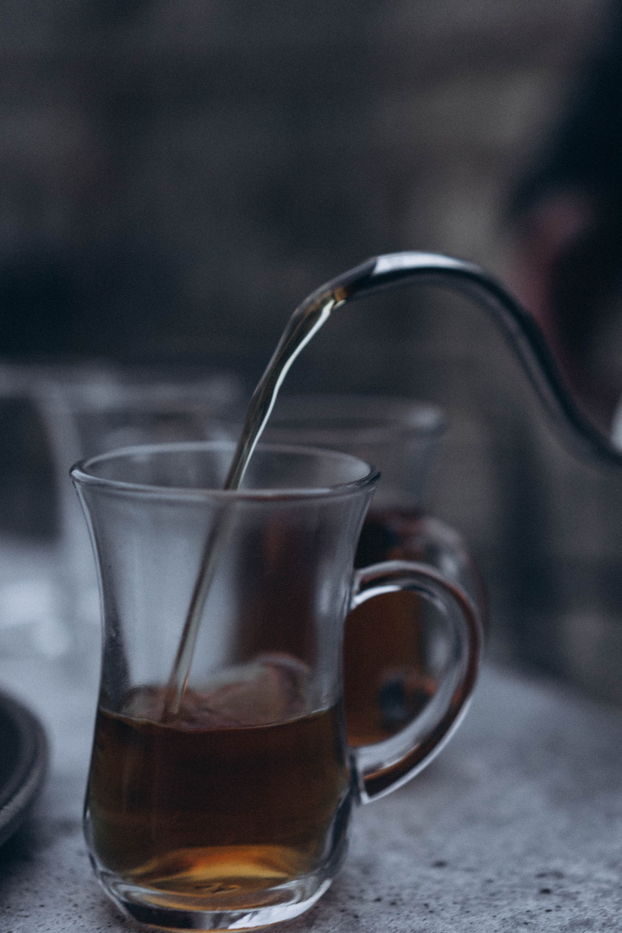 Кавказ. Профессиональный фотограф, Санкт-Петербург — Виктория Богомолова