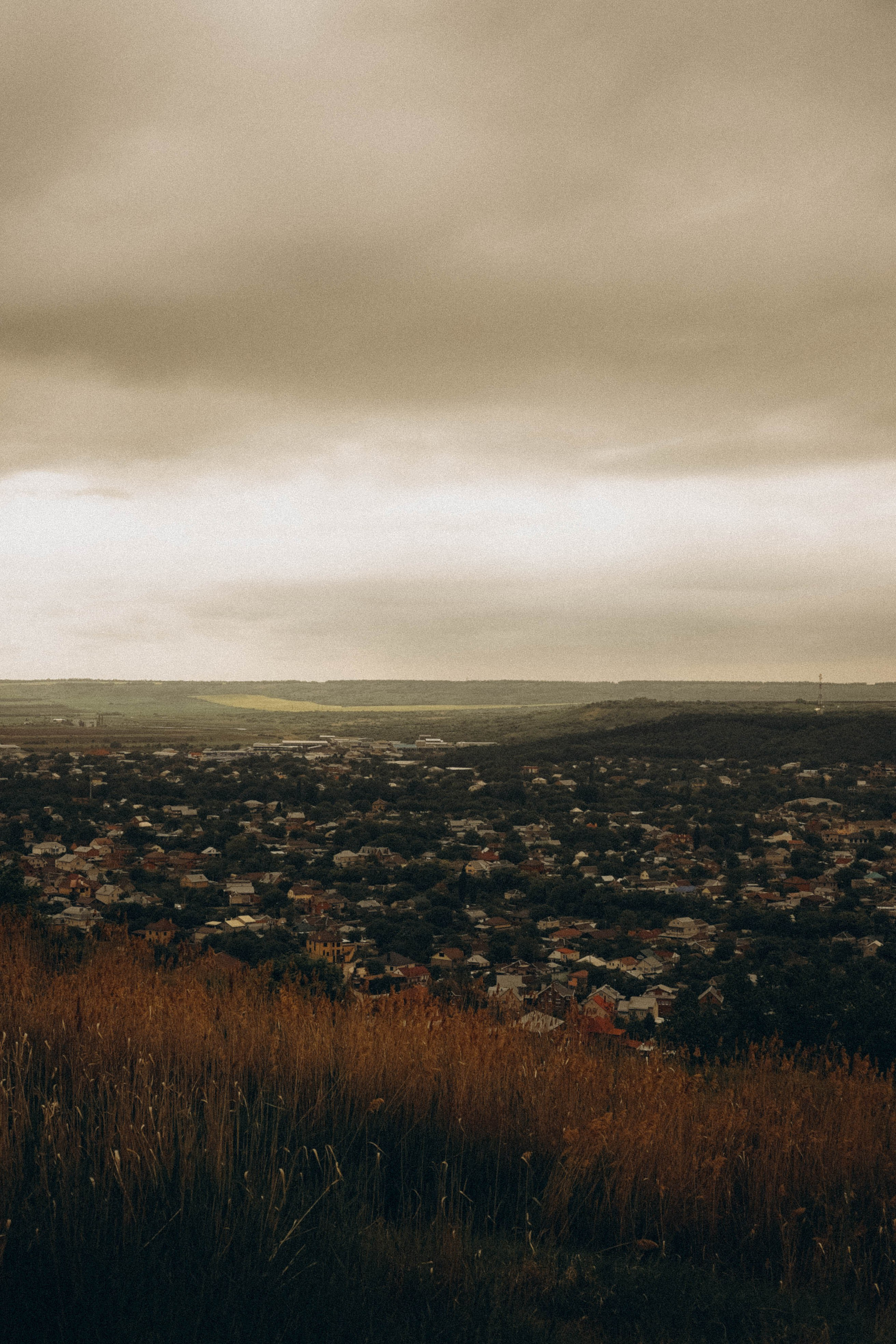Кавказ. Профессиональный фотограф, Санкт-Петербург — Виктория Богомолова