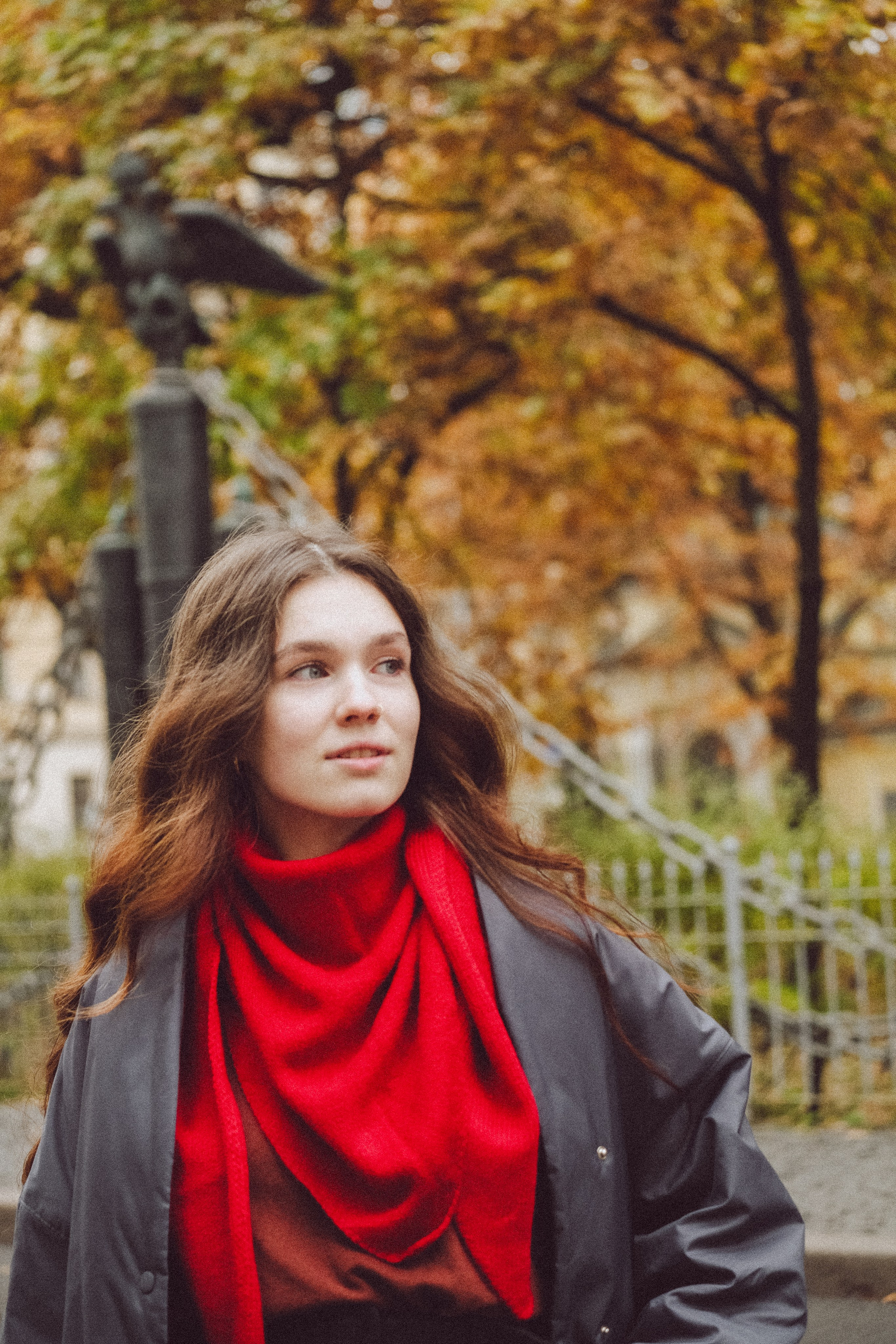 Осень. Профессиональный фотограф, Санкт-Петербург — Виктория Богомолова