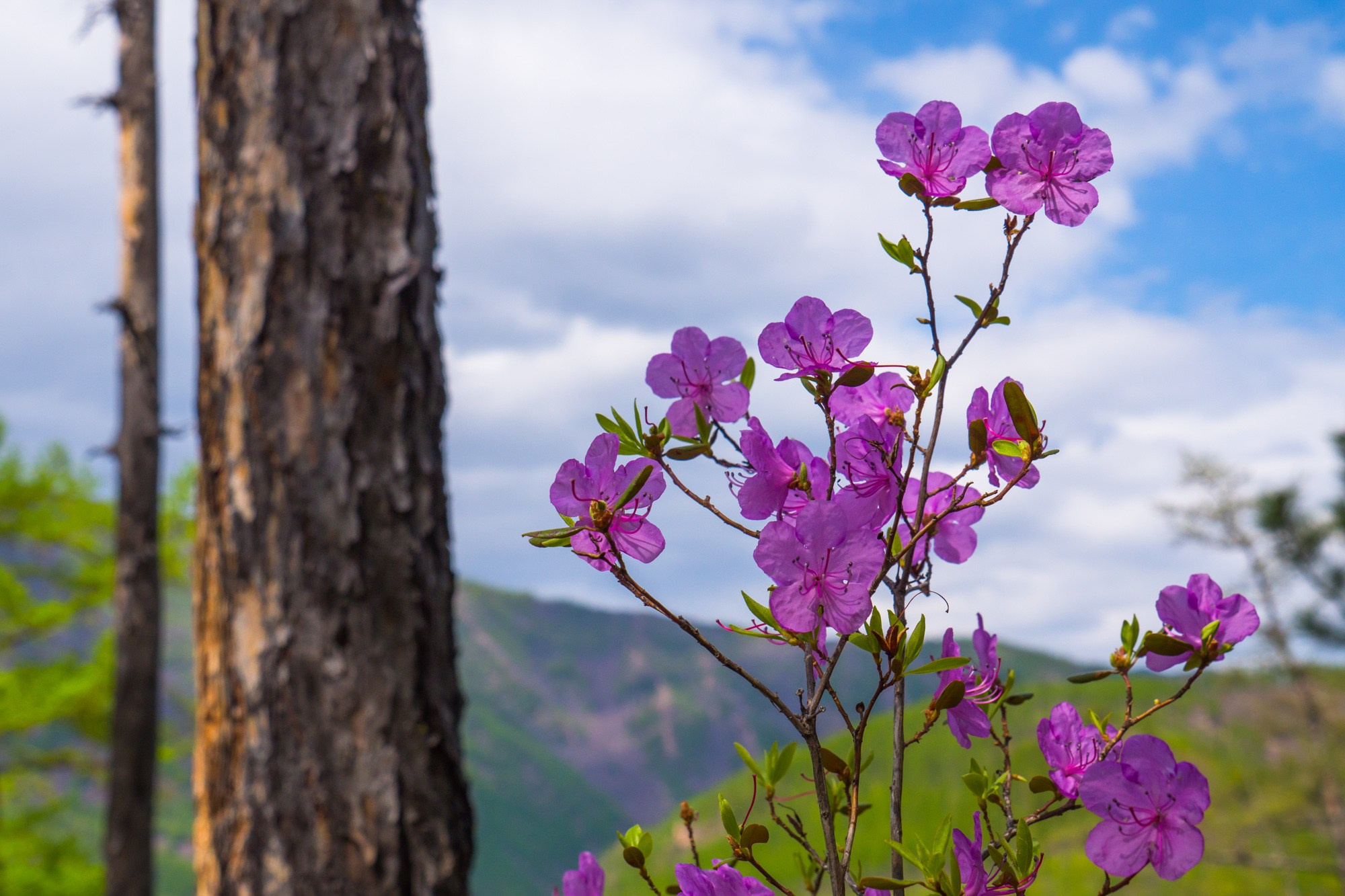 Якутия. Фотограф Алексей Скоробогатько