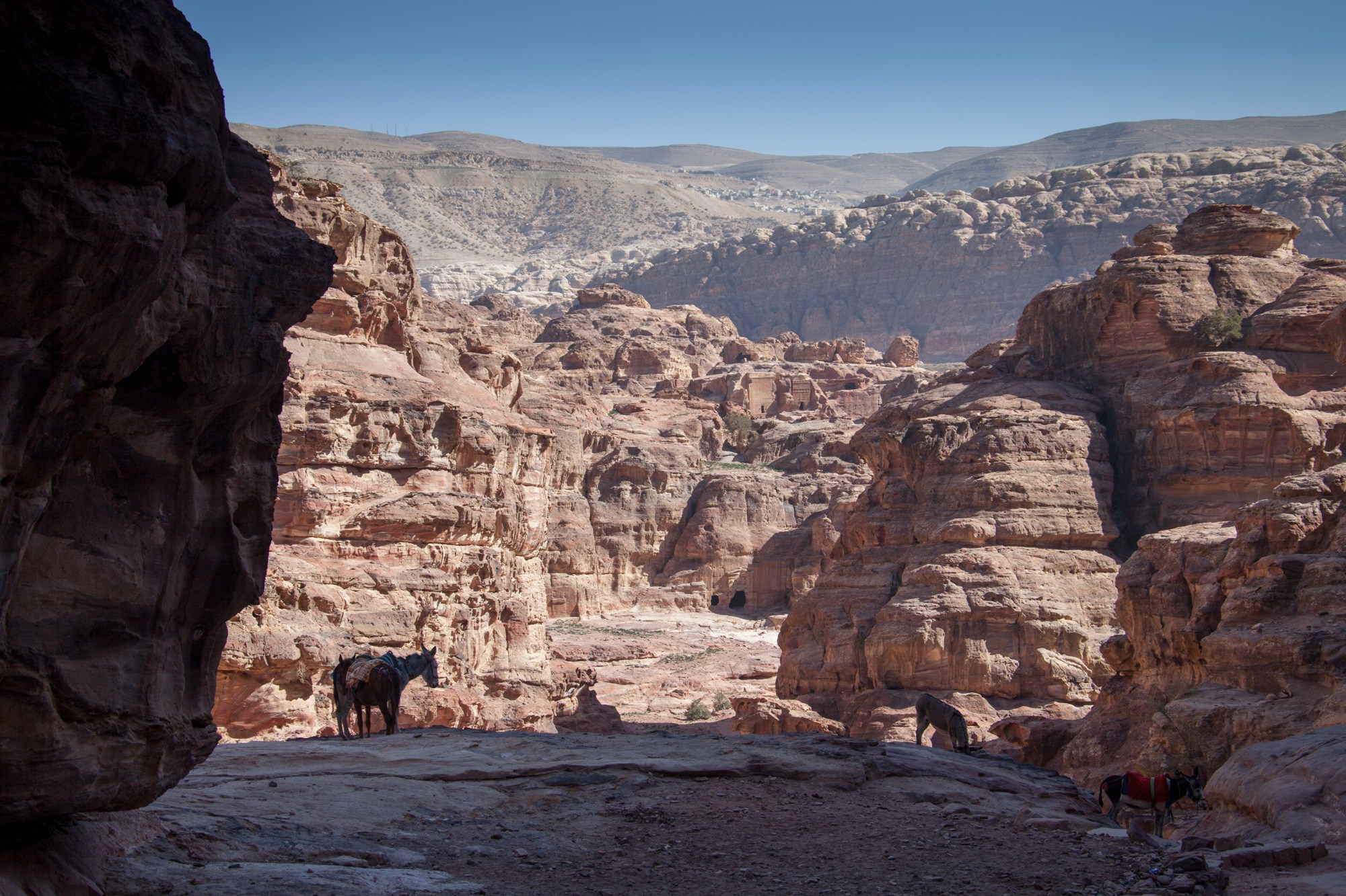 Иордания. Фотограф Алексей Скоробогатько