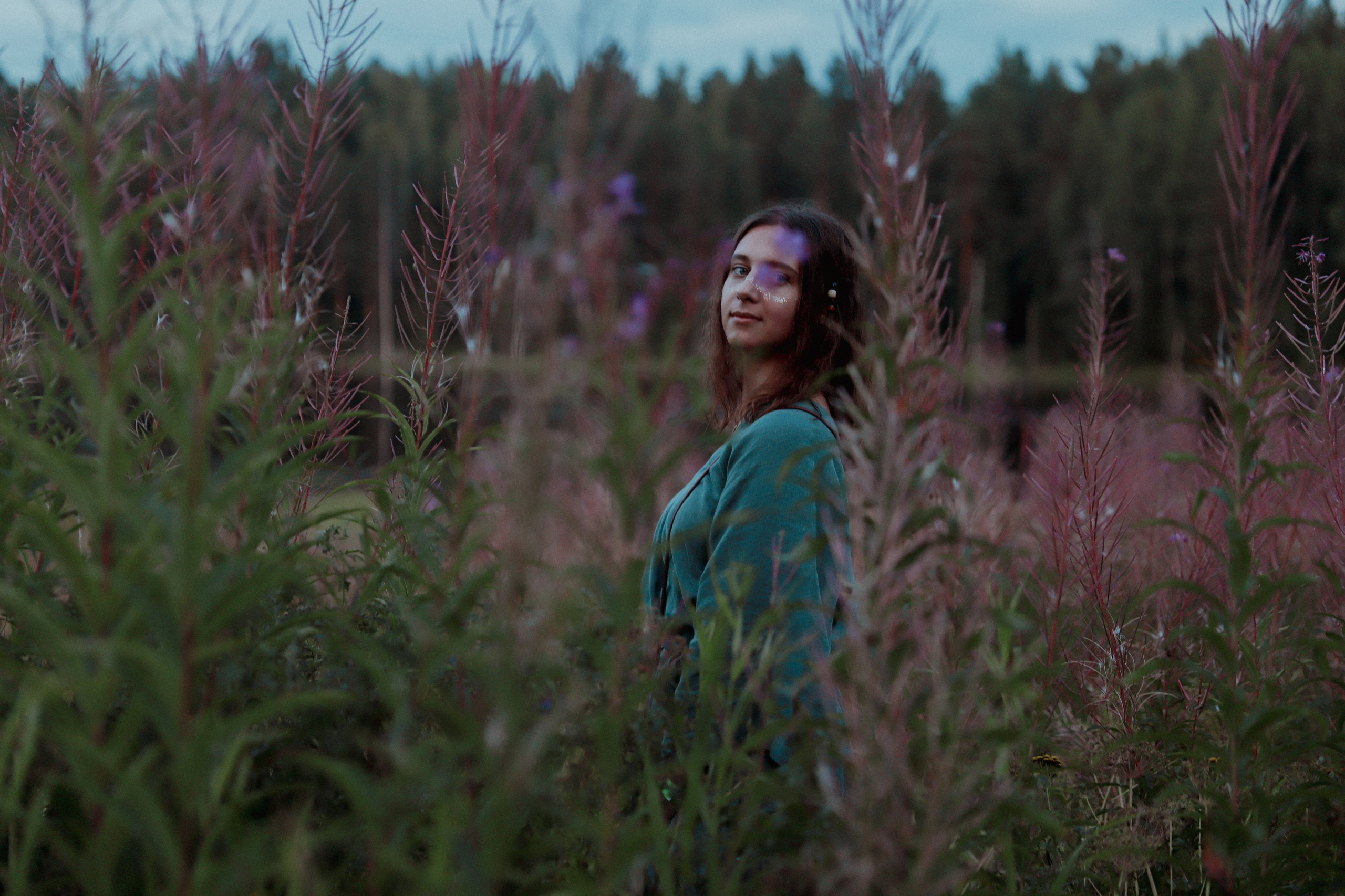 Фестиваль Жива