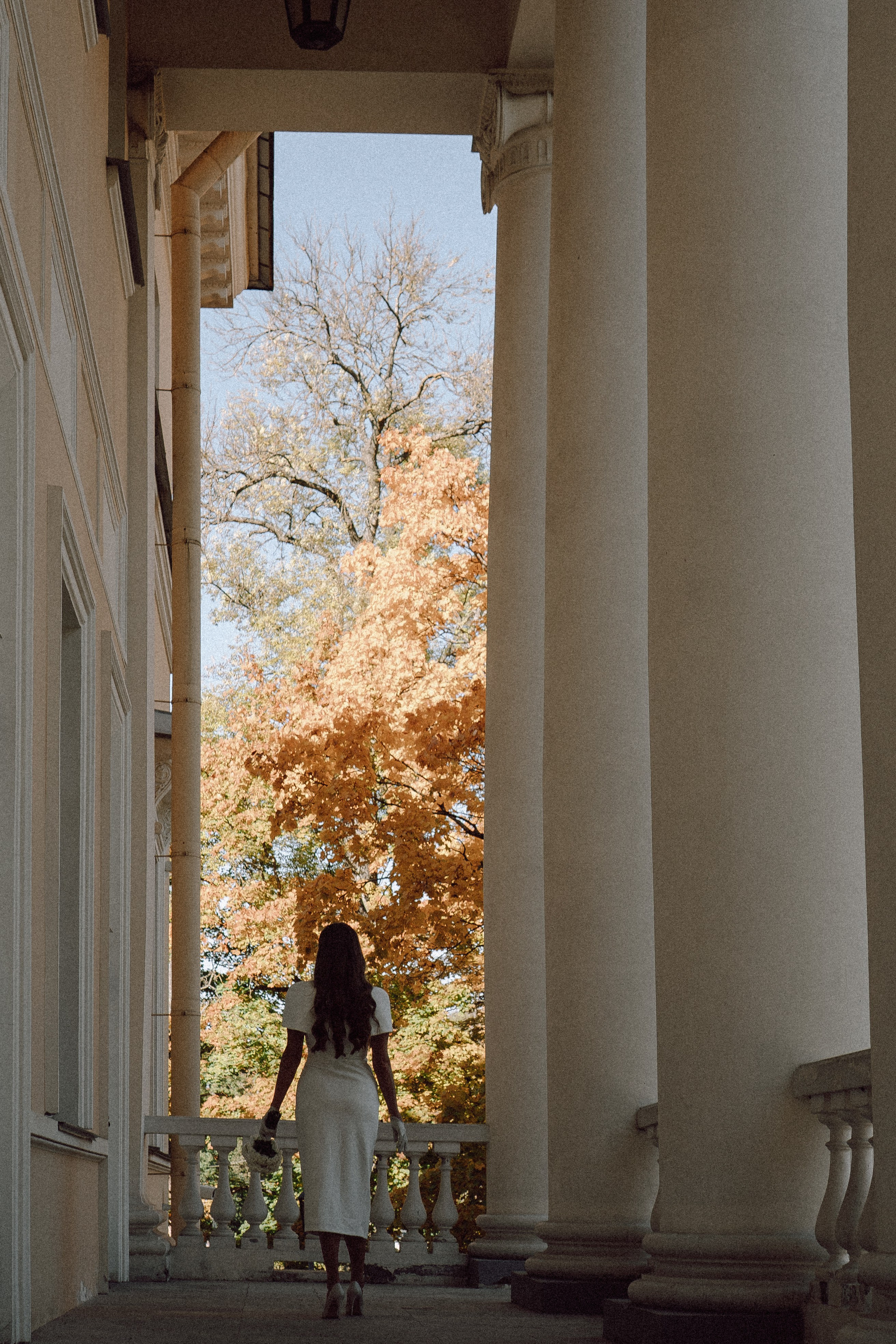 СВАДЕБНАЯ СЬЕМКА В ПУШКИН. Профессиональный фотограф, Санкт-Петербург — Виктория Богомолова