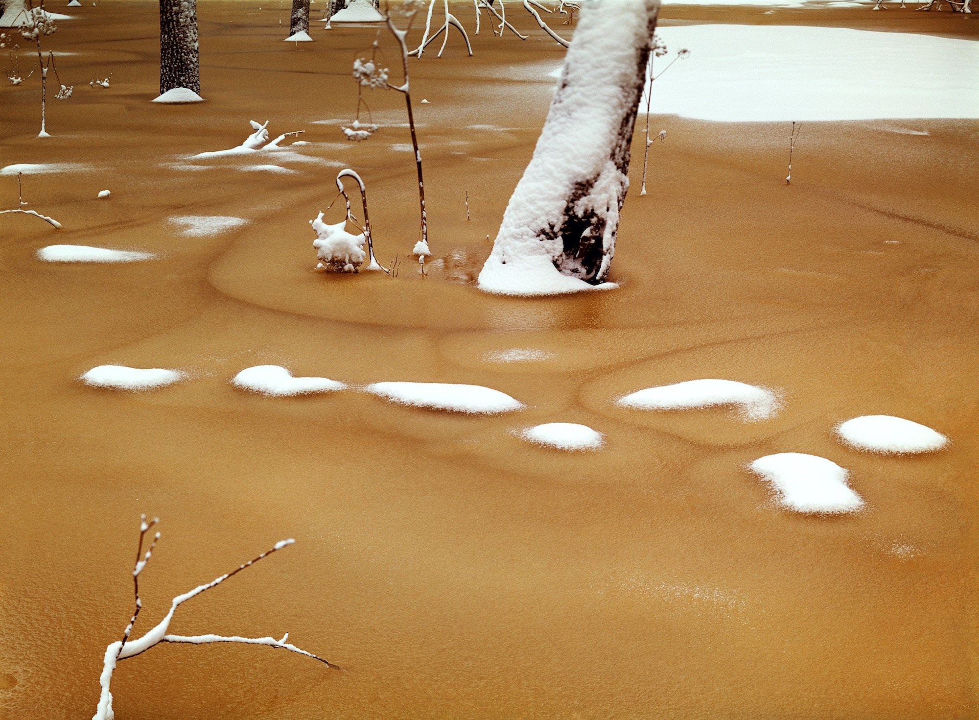 Весна. ВАДИМ ГИППЕНРЕЙТЕР — ВЕЛИКИЙ ФОТОГРАФ ЗЕМЛИ РУССКОЙ