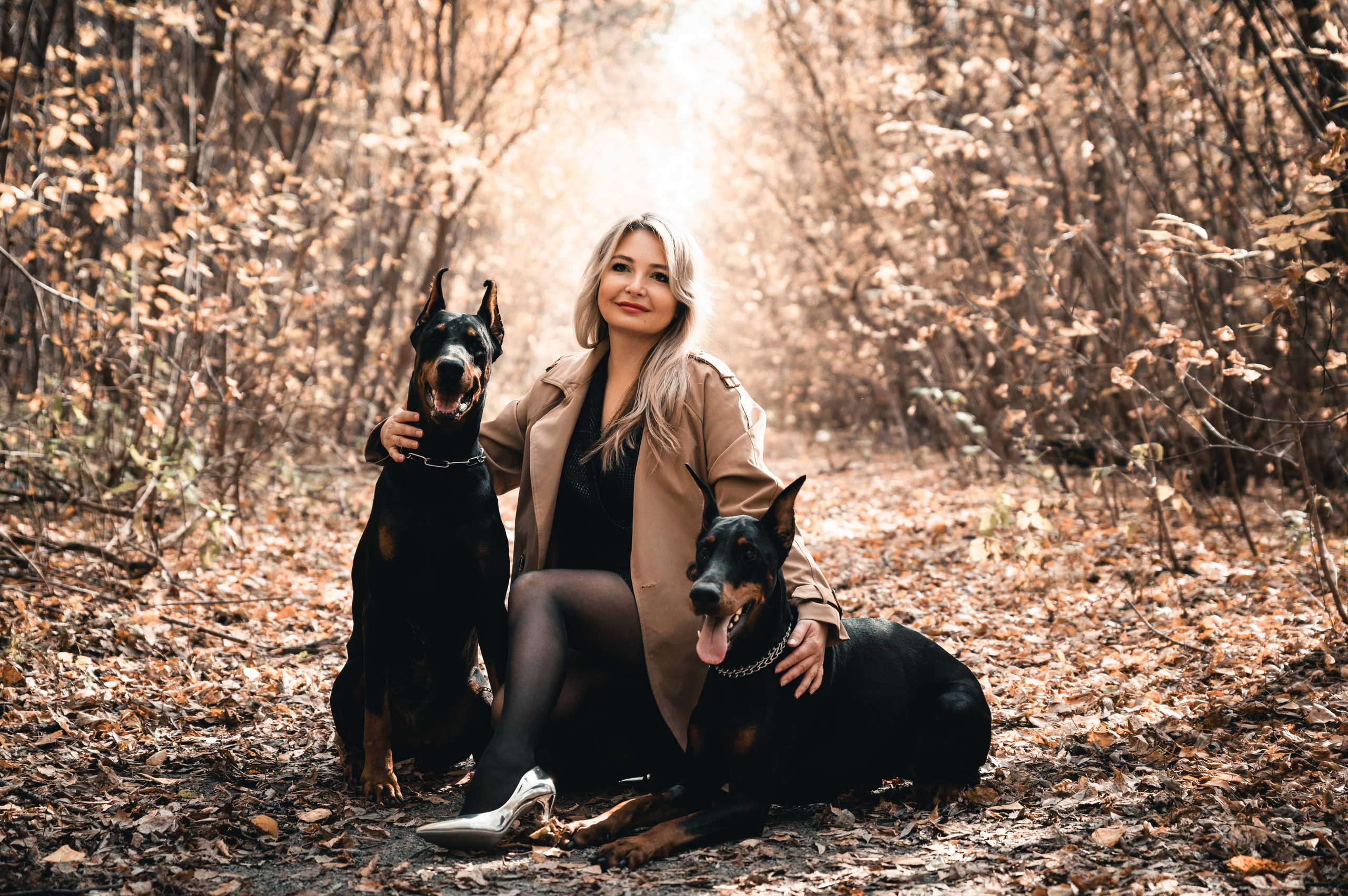 Съемка с доберманами. Фотограф в Новосибирске