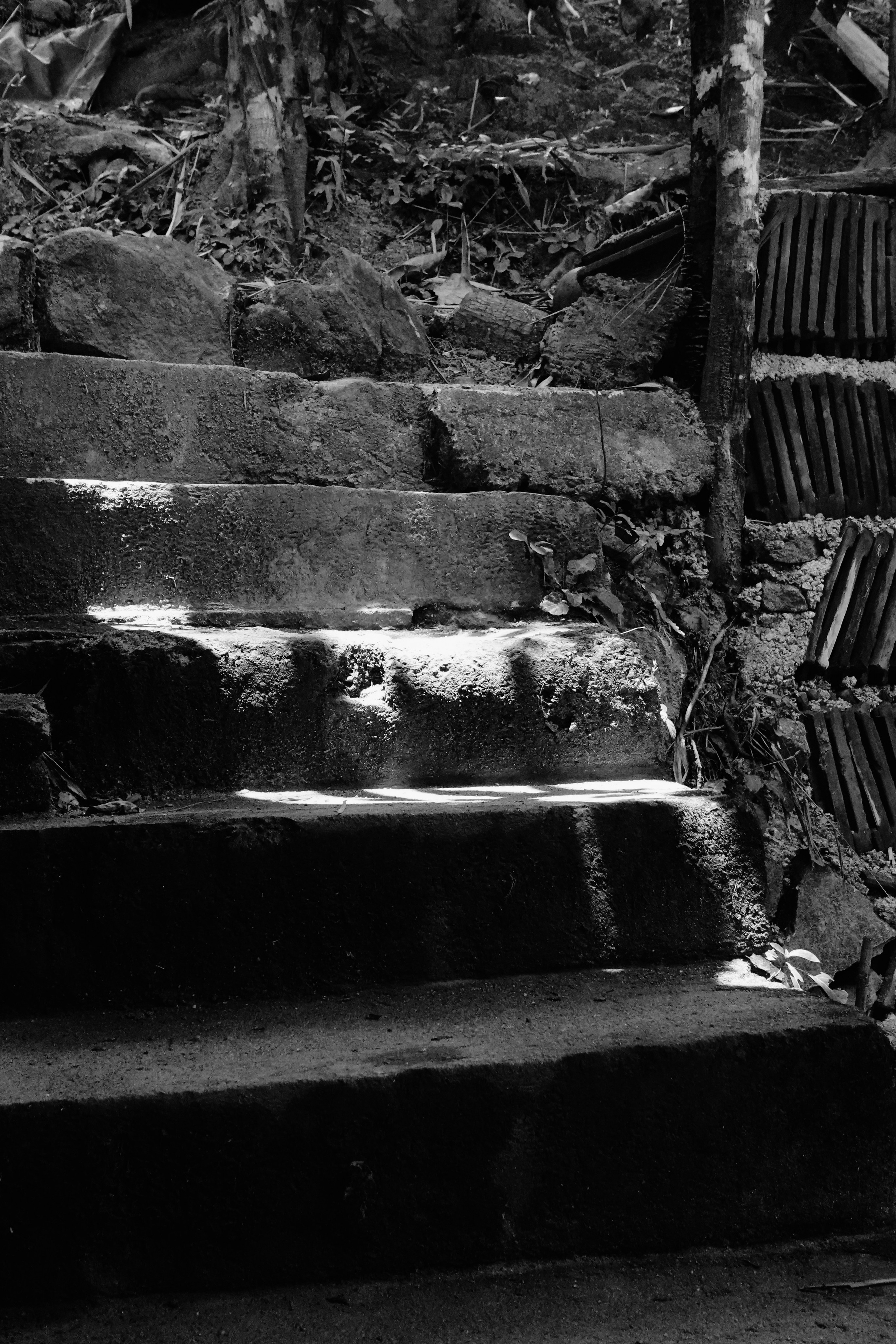 Шри-Ланка. Фотограф Алиса Аспер