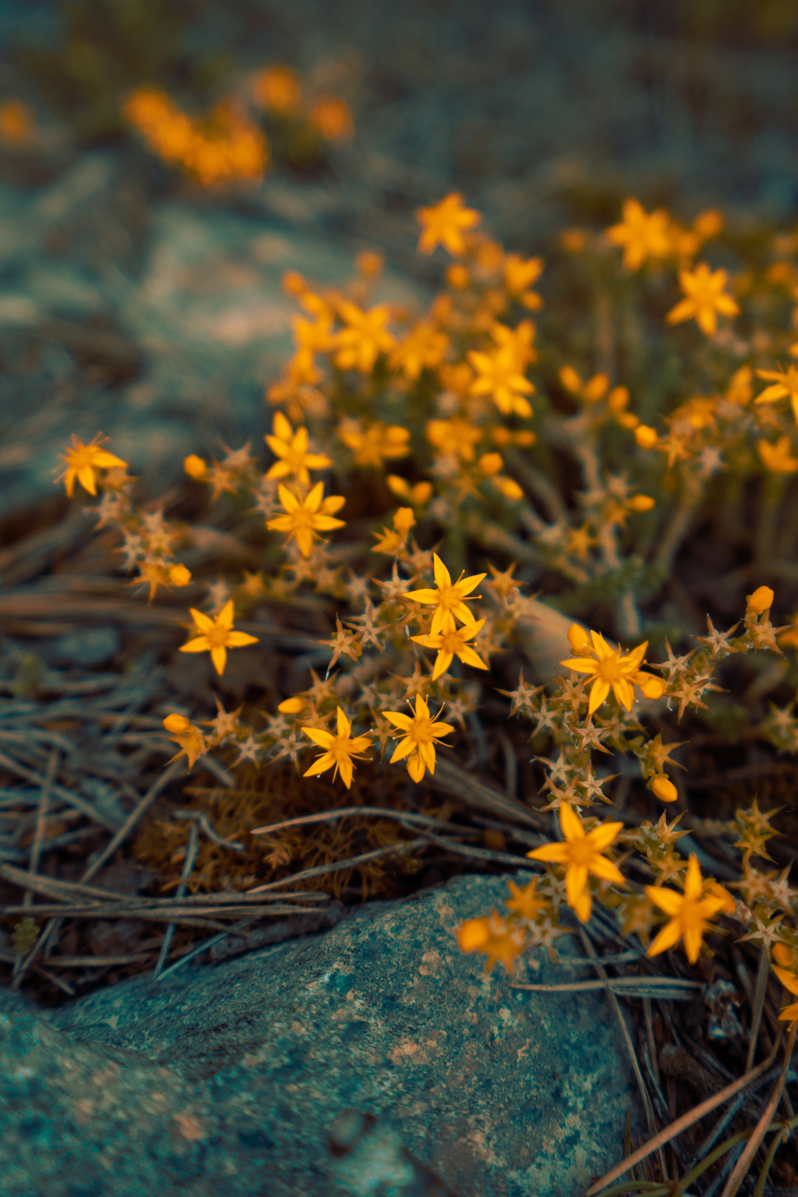 Рускеала. Фотограф Алиса Аспер