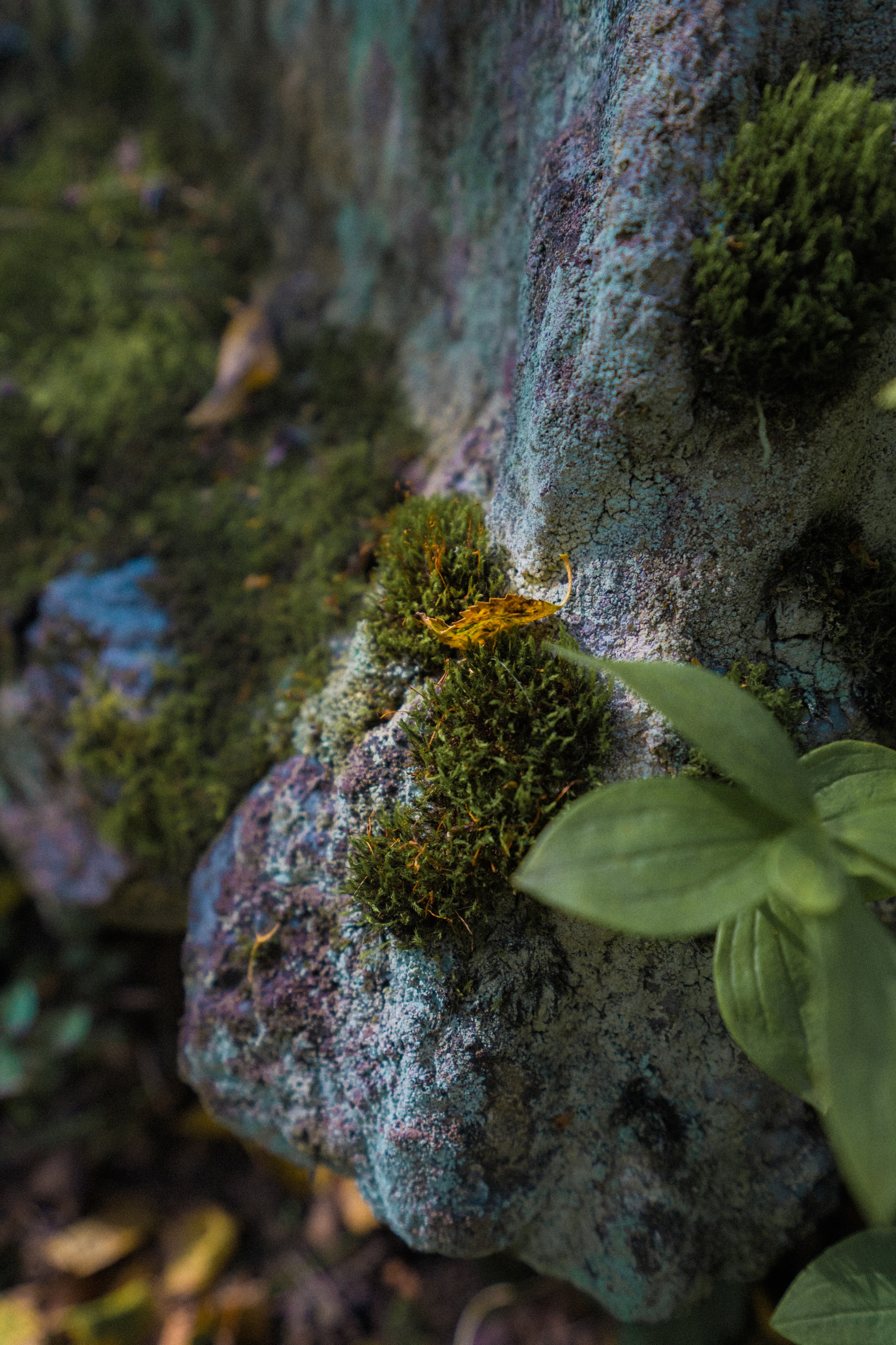 Мурманск. Фотограф Алиса Аспер