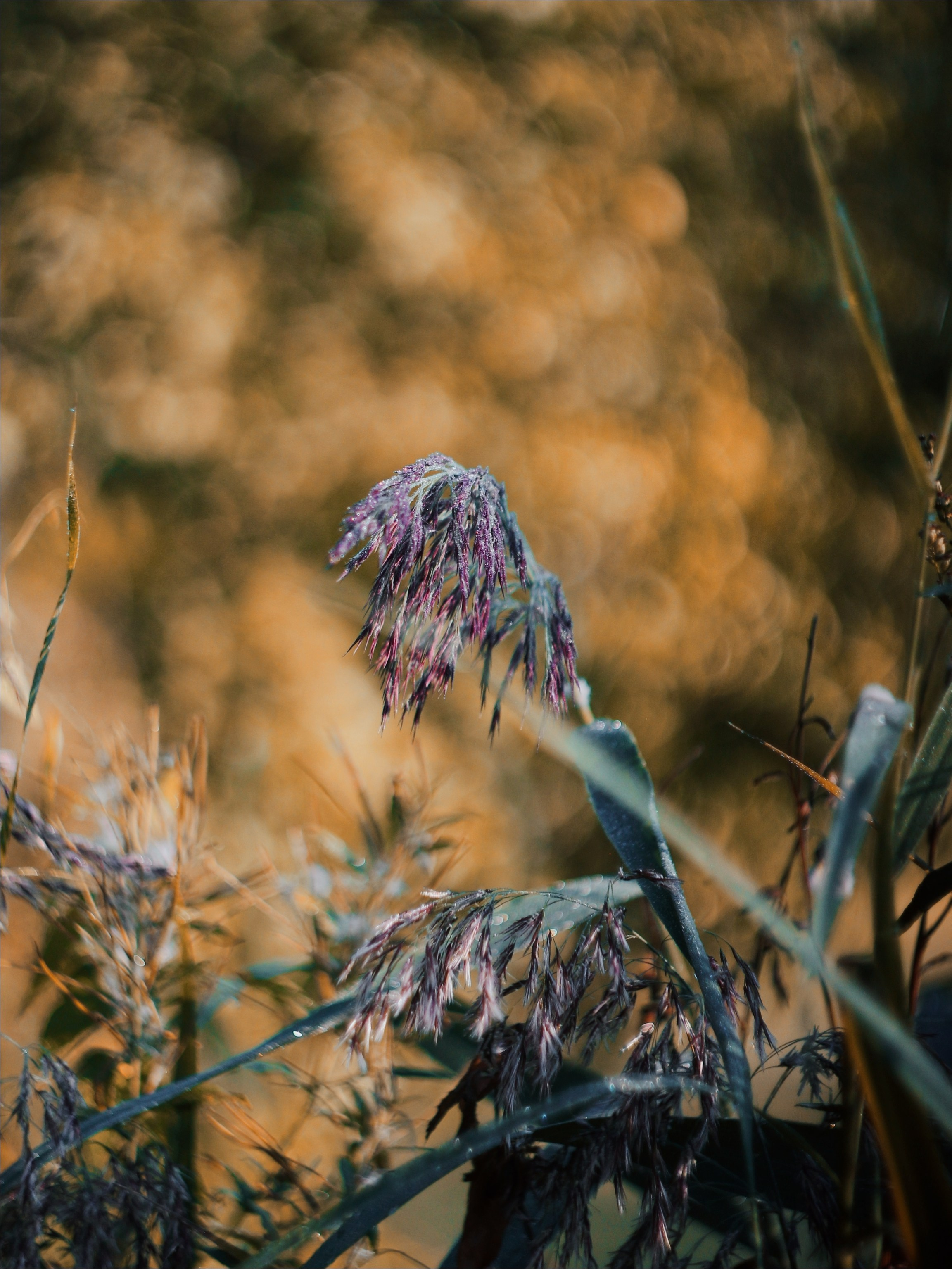 Эфемерность моментов. С любовью, фотохудожник