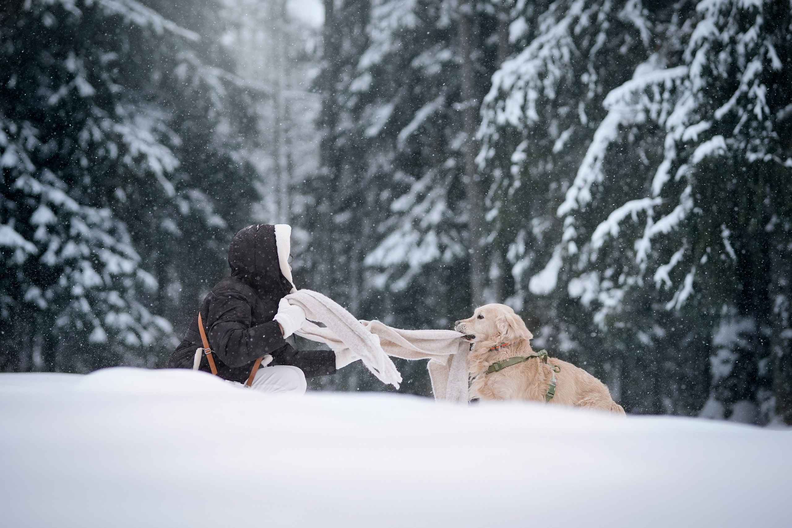 Настя и Арчи. Фотограф-анималист в Санкт-Петербурге Яна Мартынова