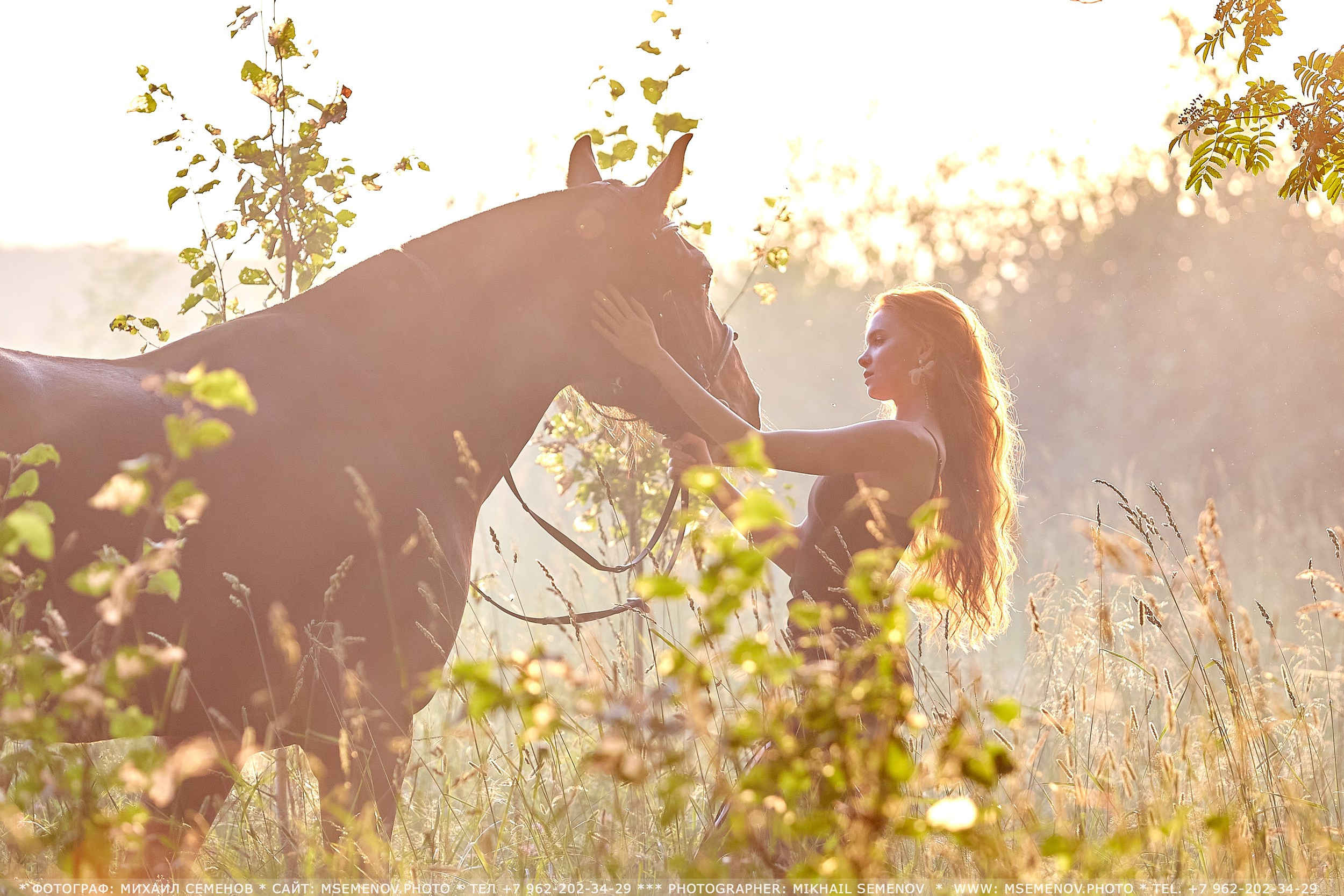 Фотосессия с лошадьми, Фотограф Михаил Семенов г. Ярославль