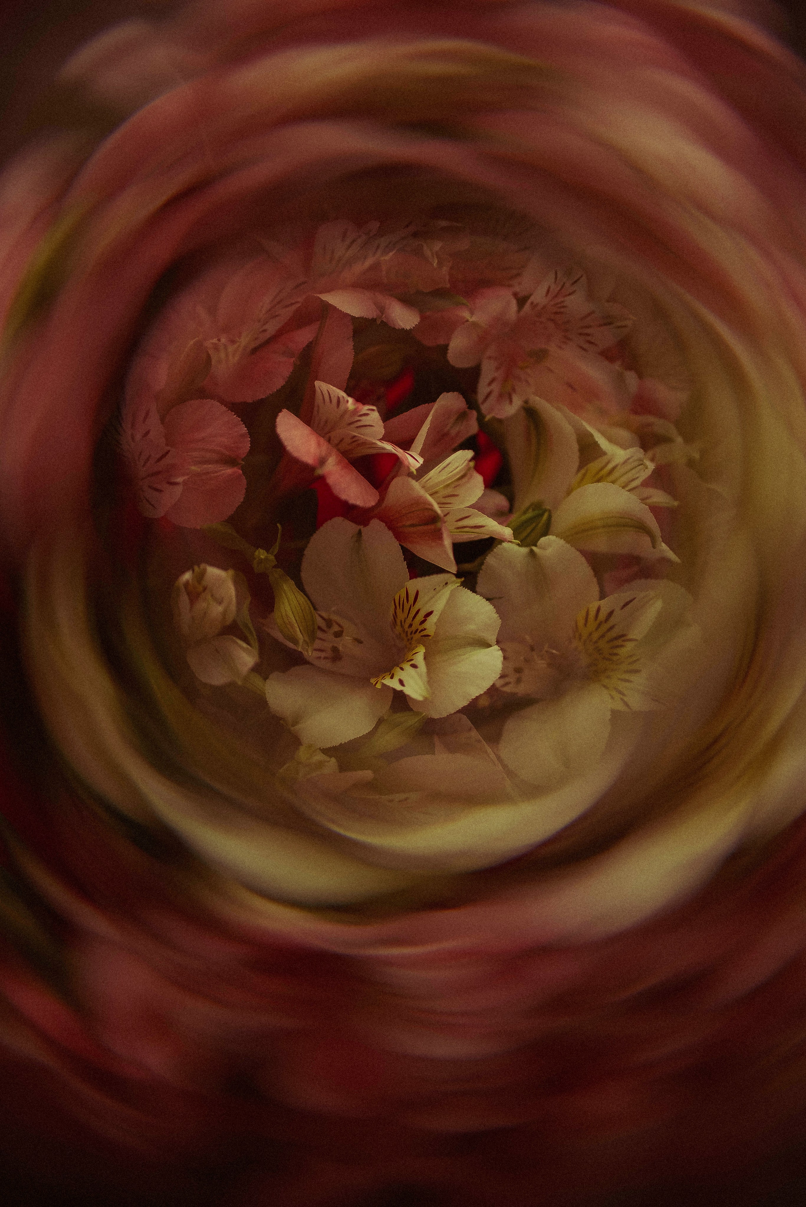 ПРЕДМЕТНАЯ/ МАКРО. Фотограф Фомина Екатерина Сергеевна