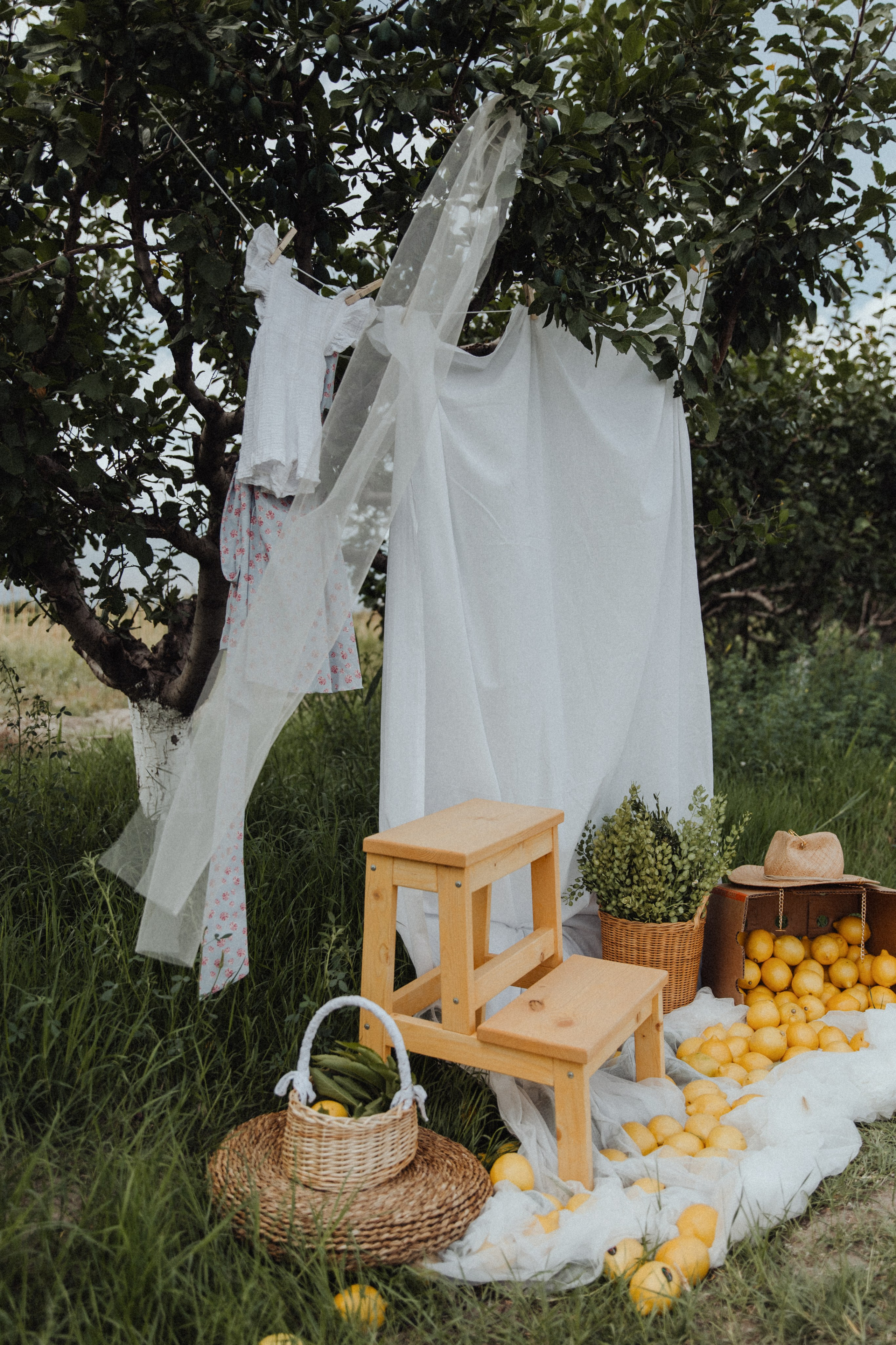 Lemon. Свадебный фотограф Анастасия Пальчикова