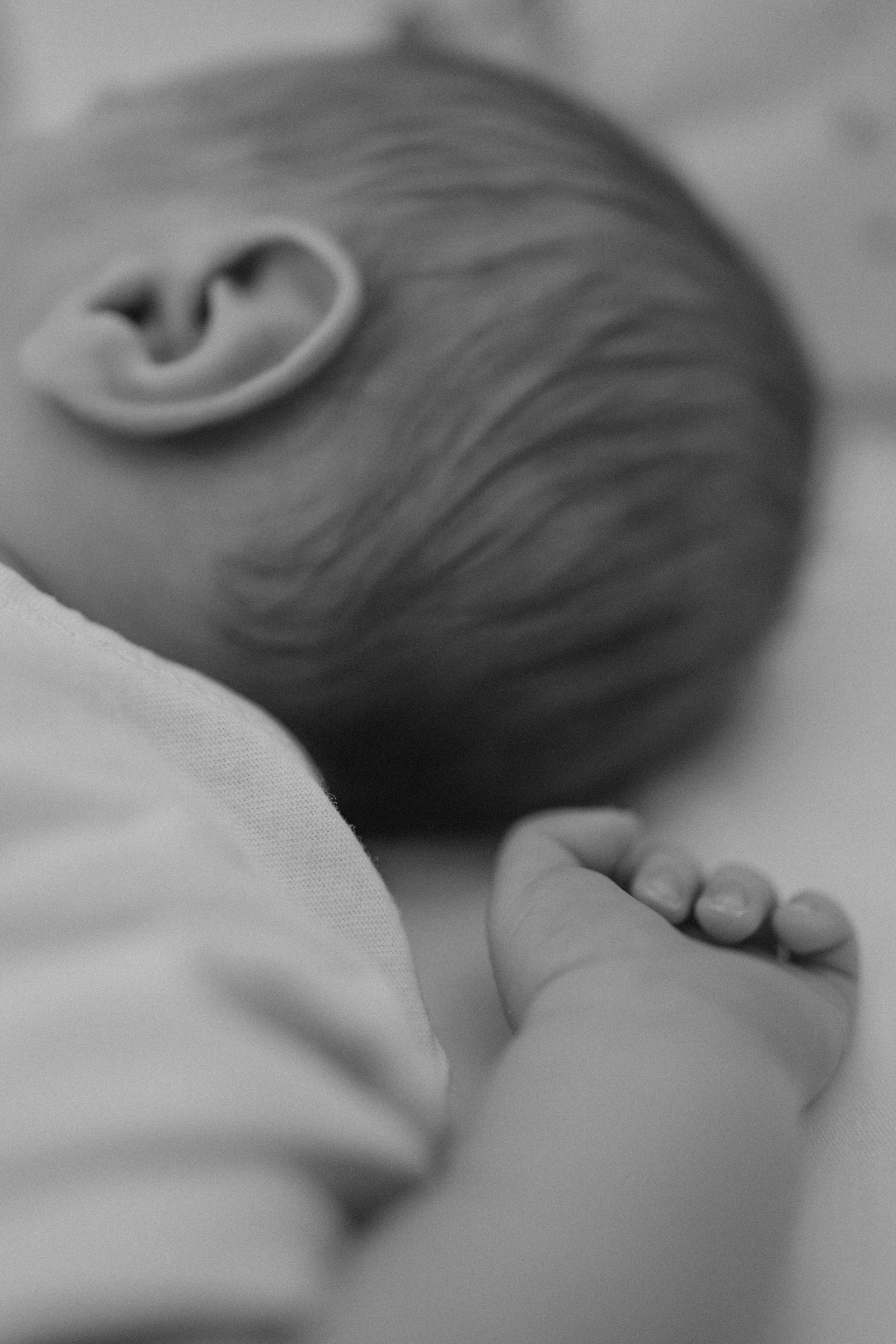 Сашенька. Свадебный и семейный фотограф в Москве Дарья Тюленева