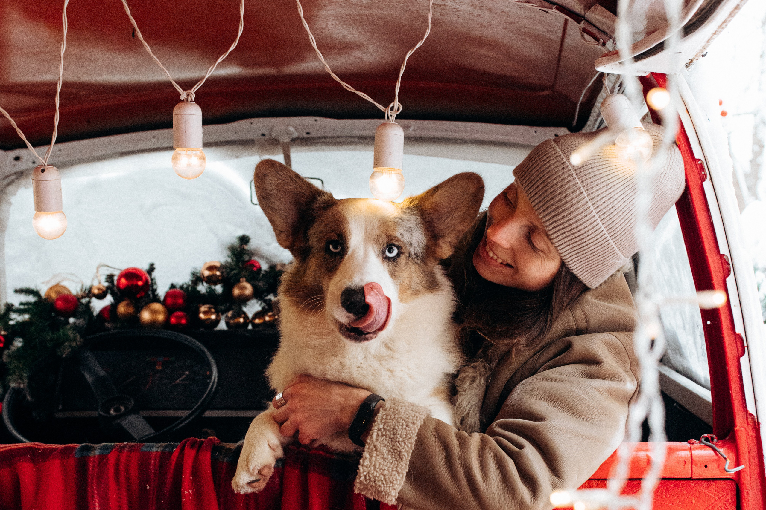 Маша и Дэф. Фотограф анималист в Москве Ольга Агушева