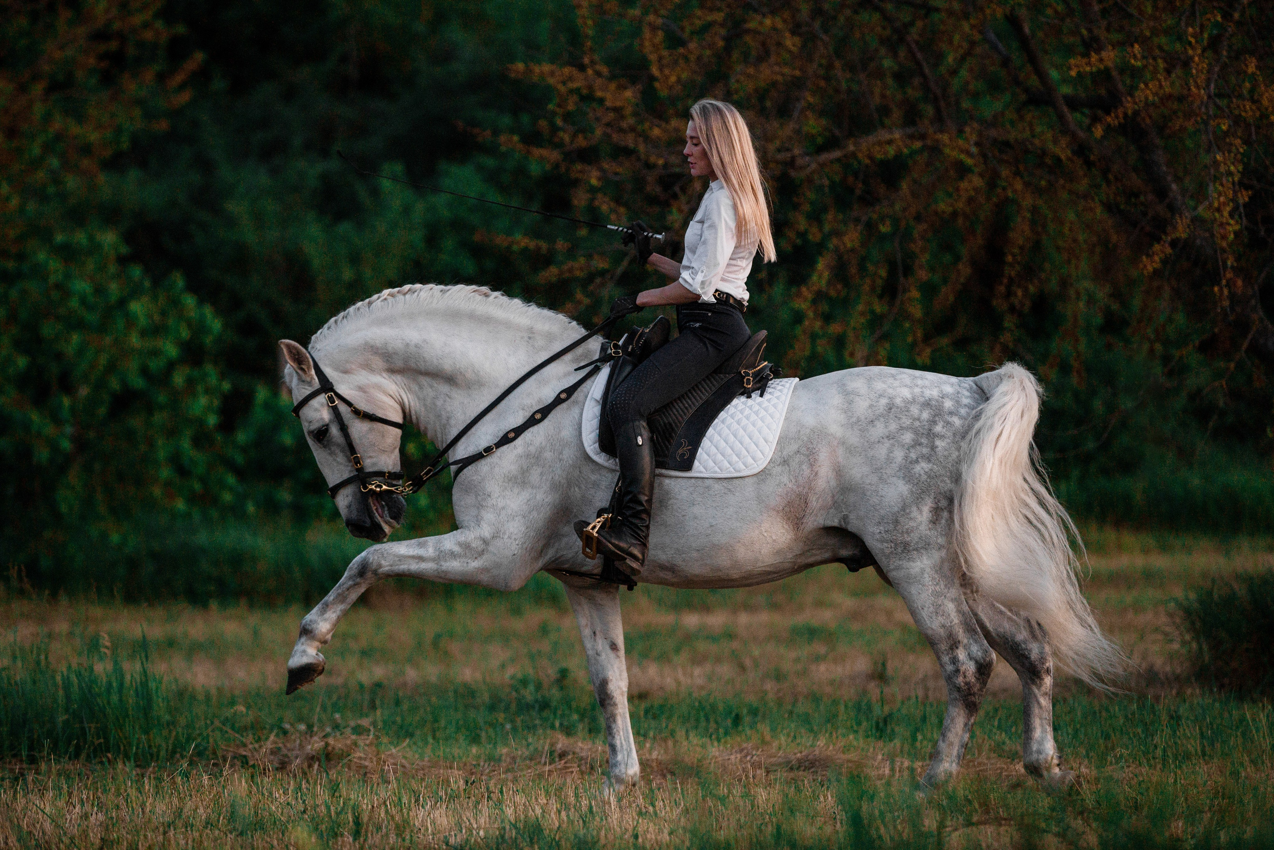 Натали и Цезарь. Фотограф-анималист Ксендзова Кристина