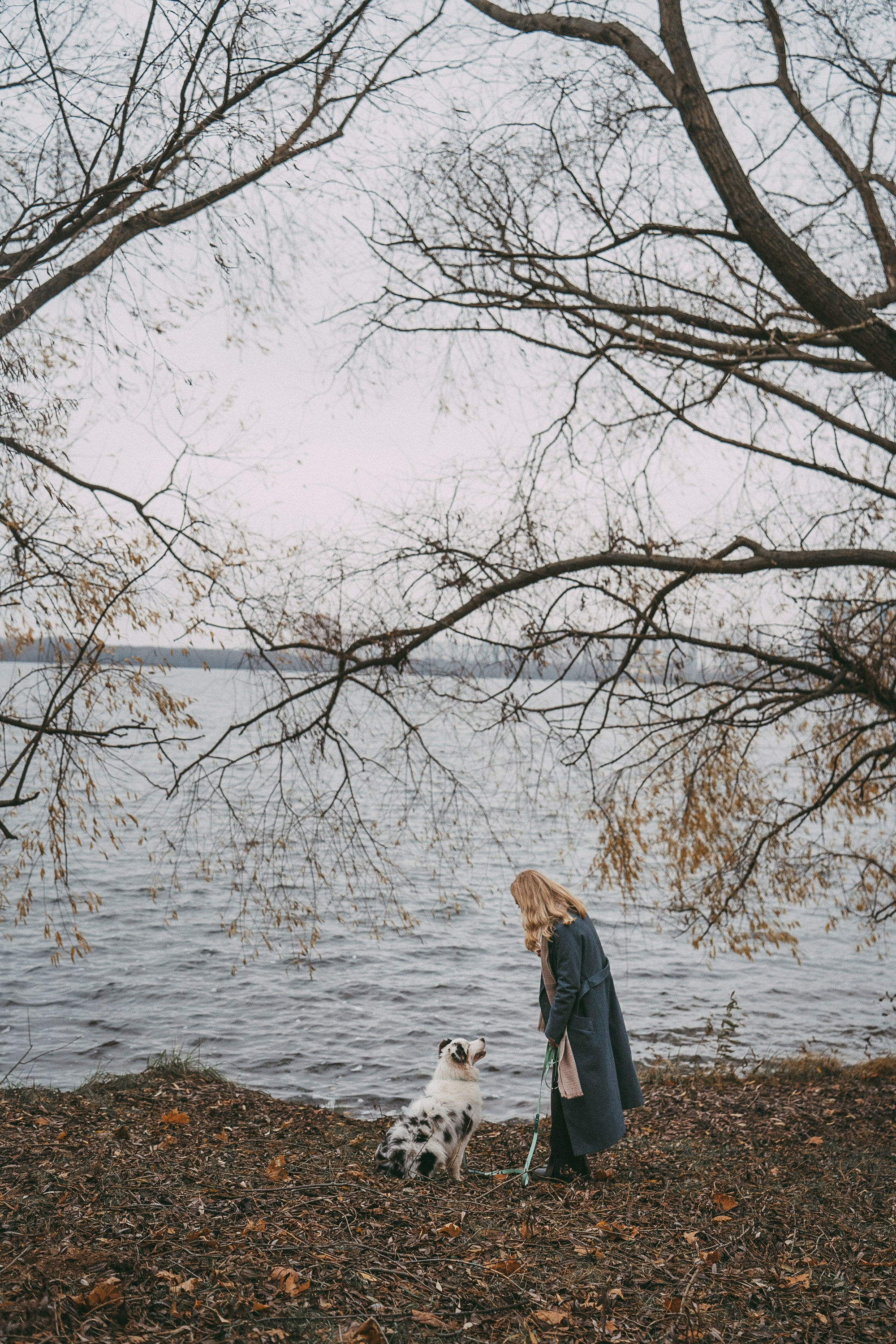 Лиза и Бублик. Фотограф анималист в Москве и Санкт-Петербурге Свиридова Анна