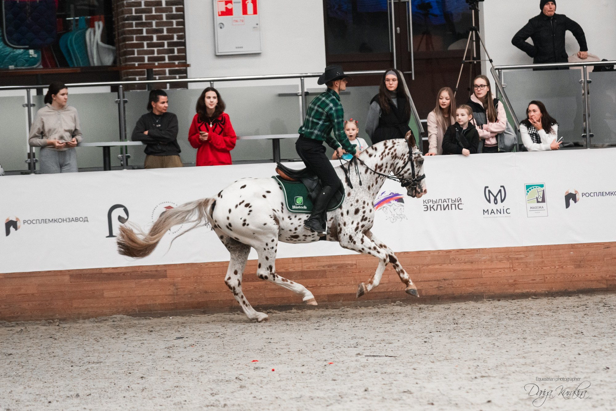 8-я международная выставка Конная Россия. Конный фотограф Куракина Дарья • Фотосессии с лошадьми