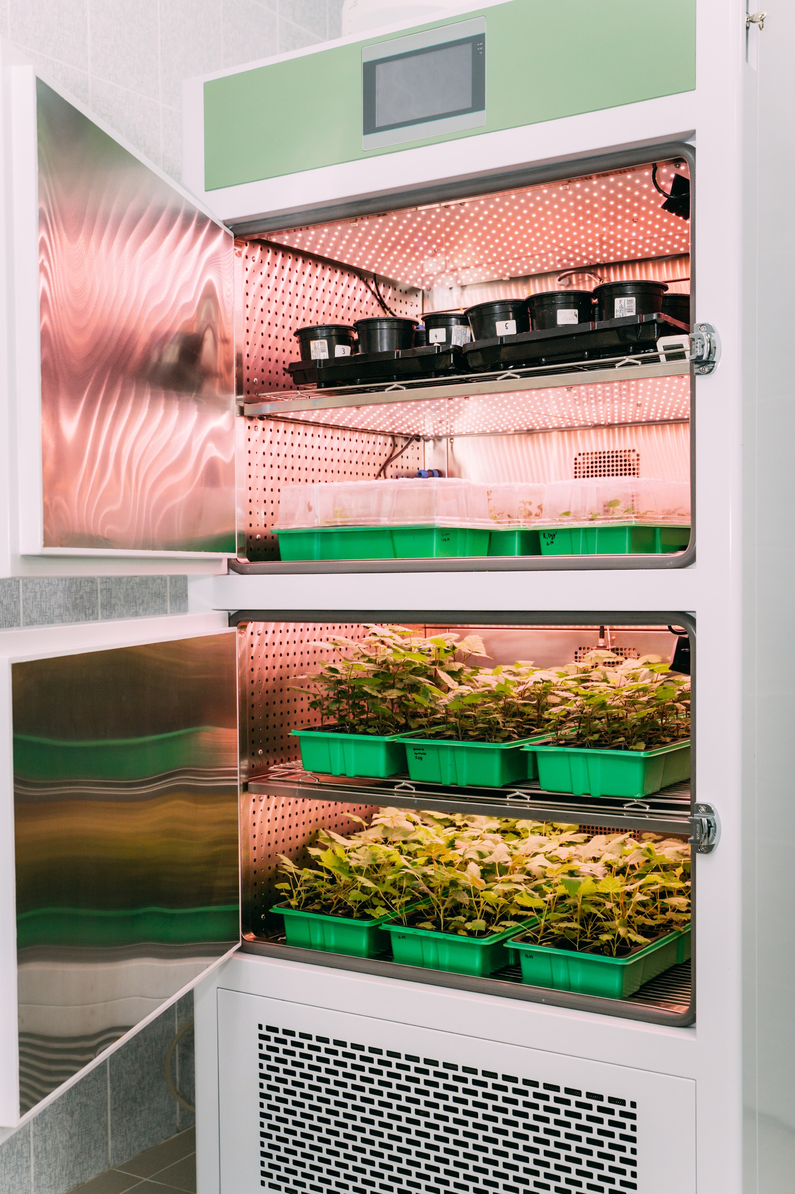 Международная конференция РАН