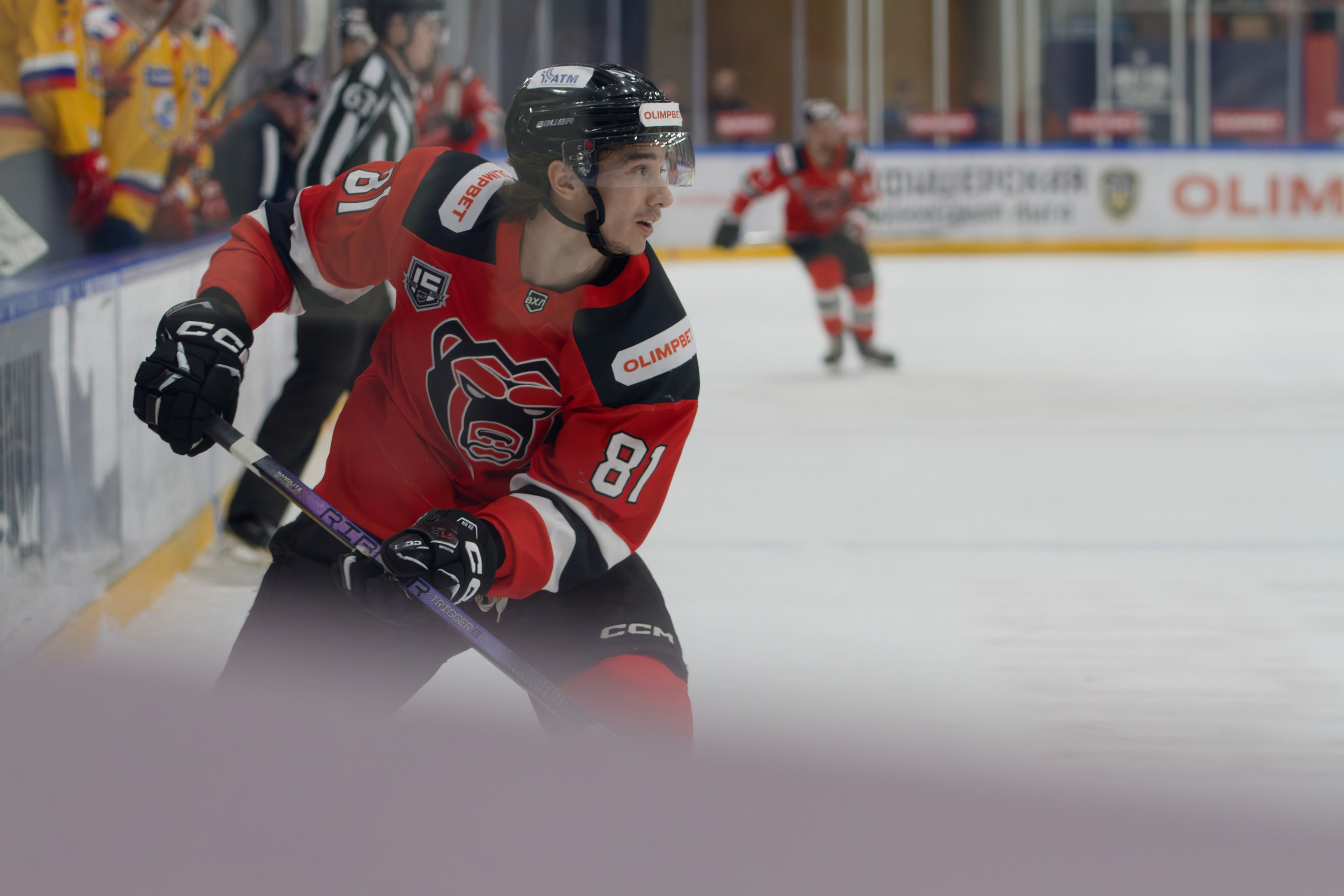 Хоккей. Молот-Химик 12.02.2025. Репортажный и спортивный фотограф в г. Пермь Зильберг Павел