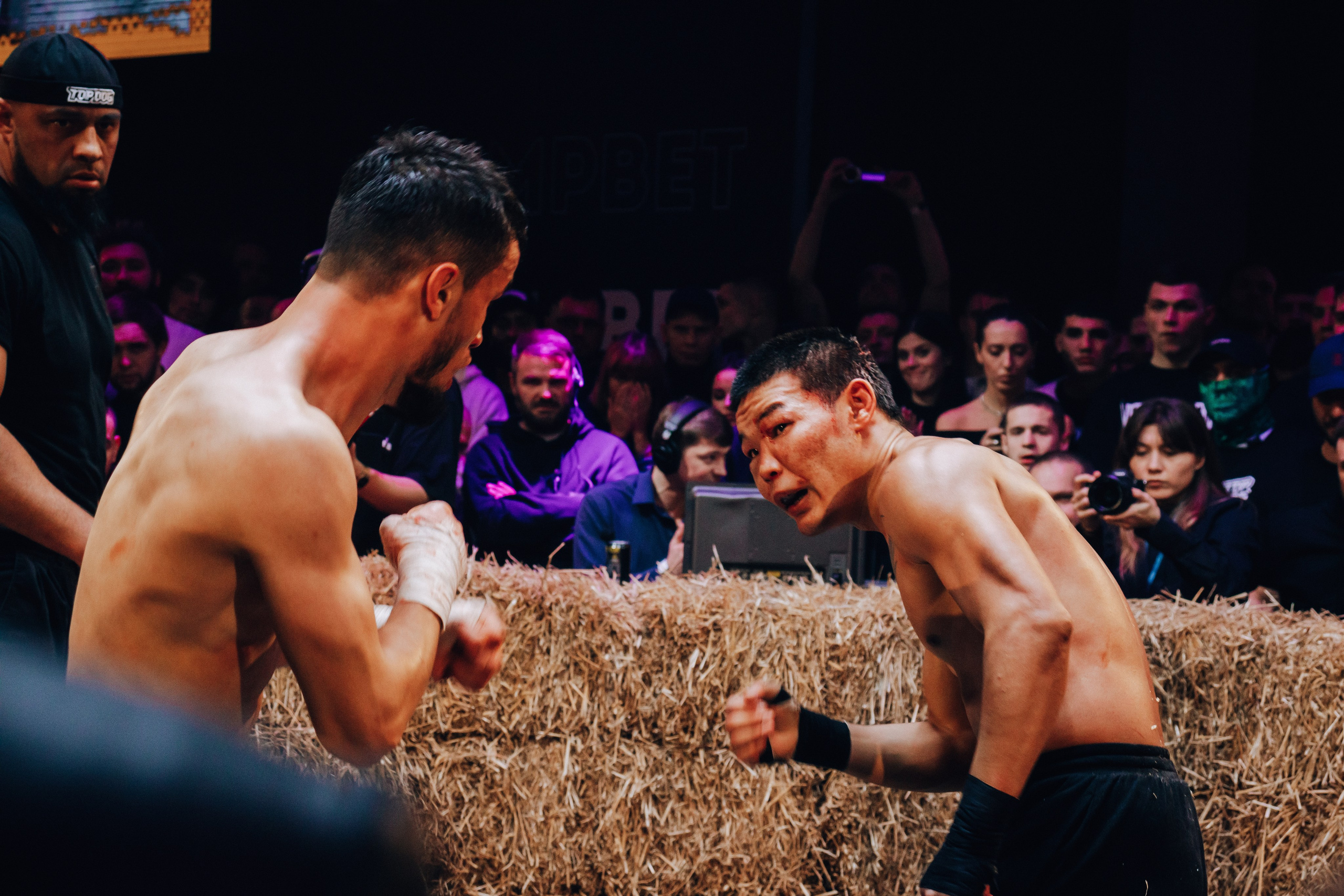 Кулачные бои TopDog. Анастасия Тен