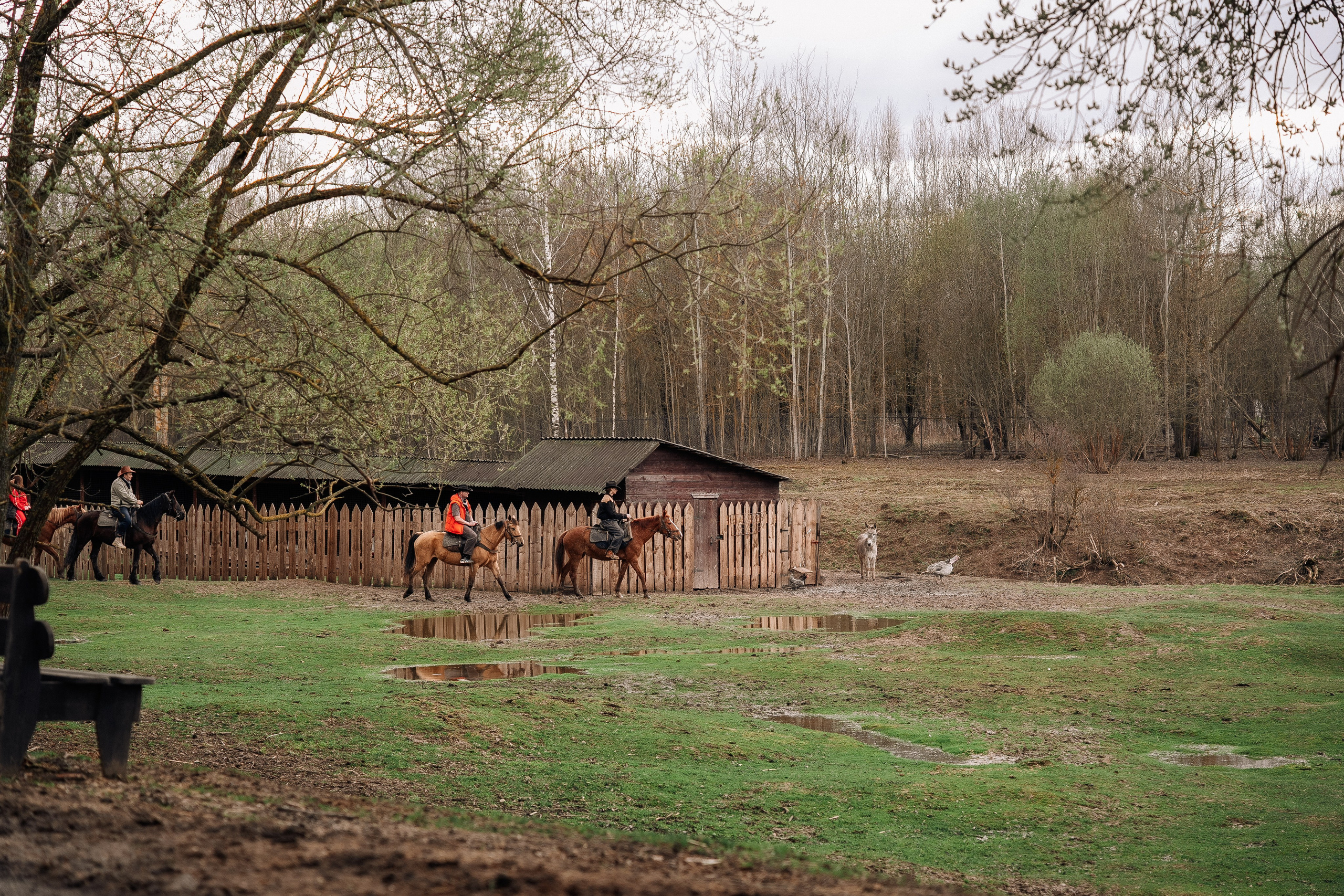 Фотосъемка мероприятия в ранчо Аванпост. Свадебный и семейный фотограф в Москве и МО Геннадий Туманцев