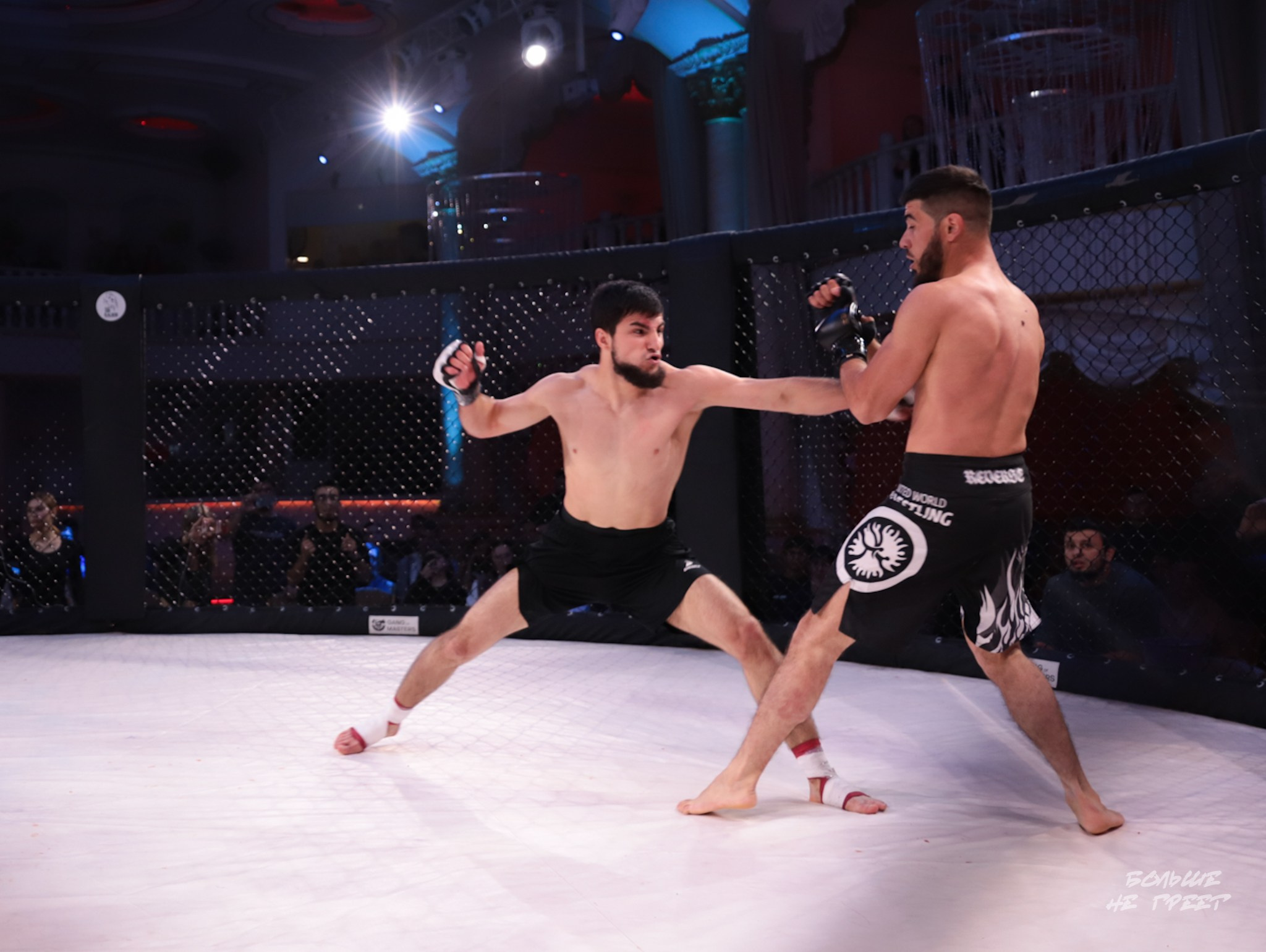 SABR FIGHTING. Больше не греет