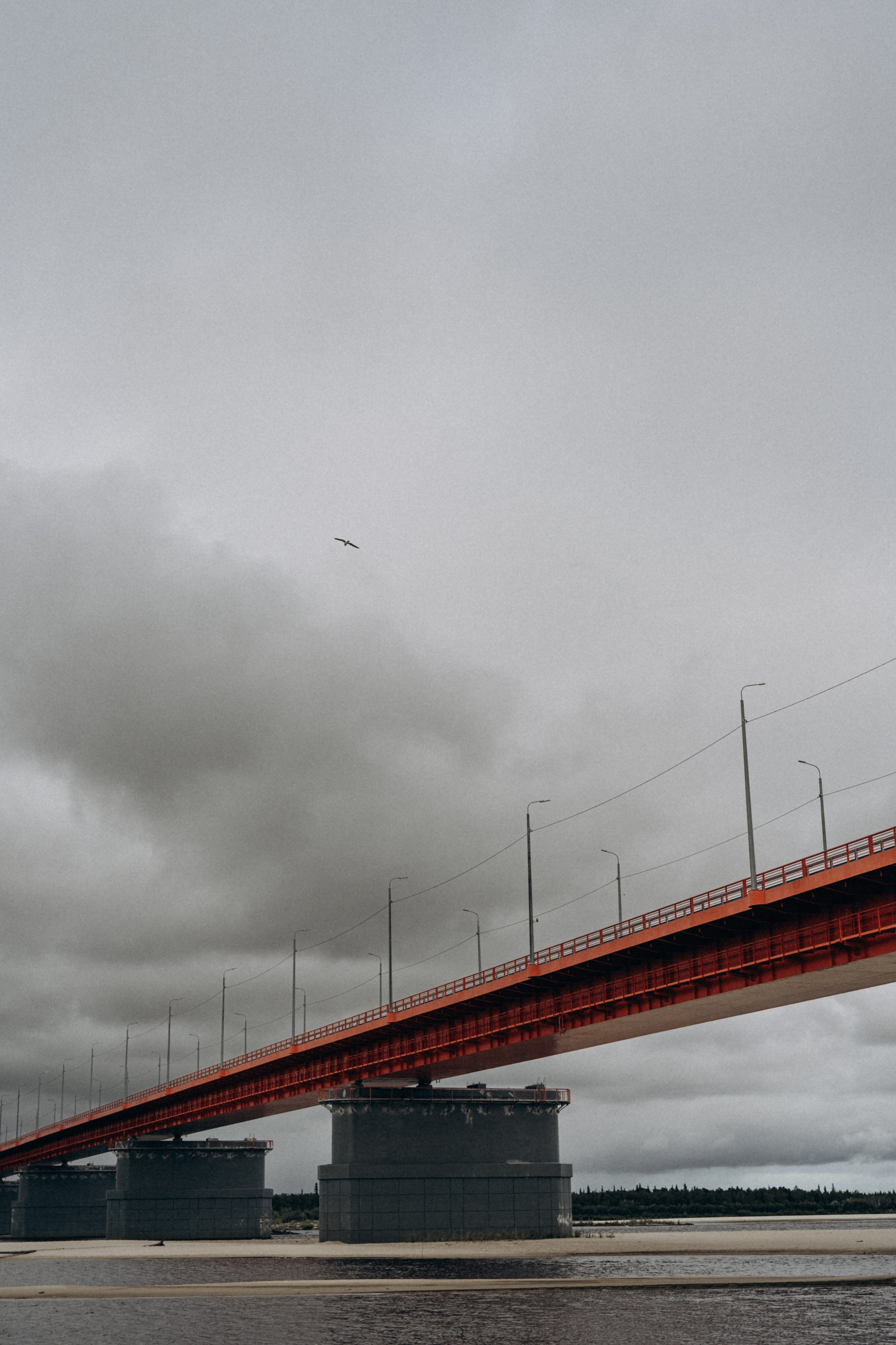 Семейная. Семейный фотограф в городе Надым Наталья Жигунова