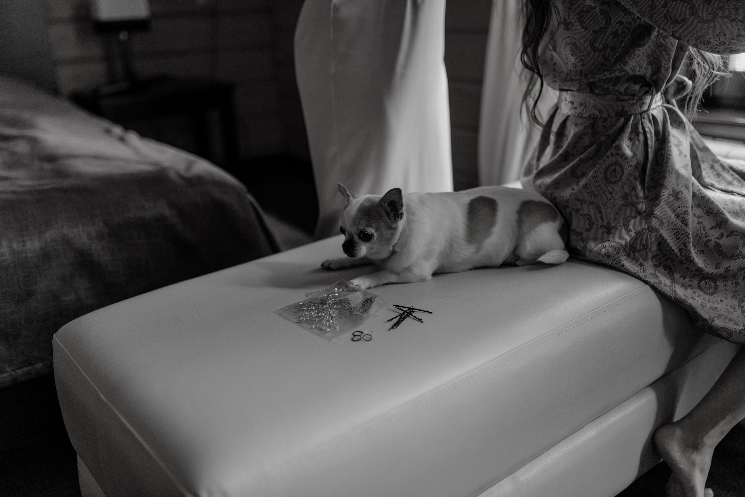 Степан и Анастасия. Свадебный и Семейный фотограф в Ярославле Алёна Колясникова