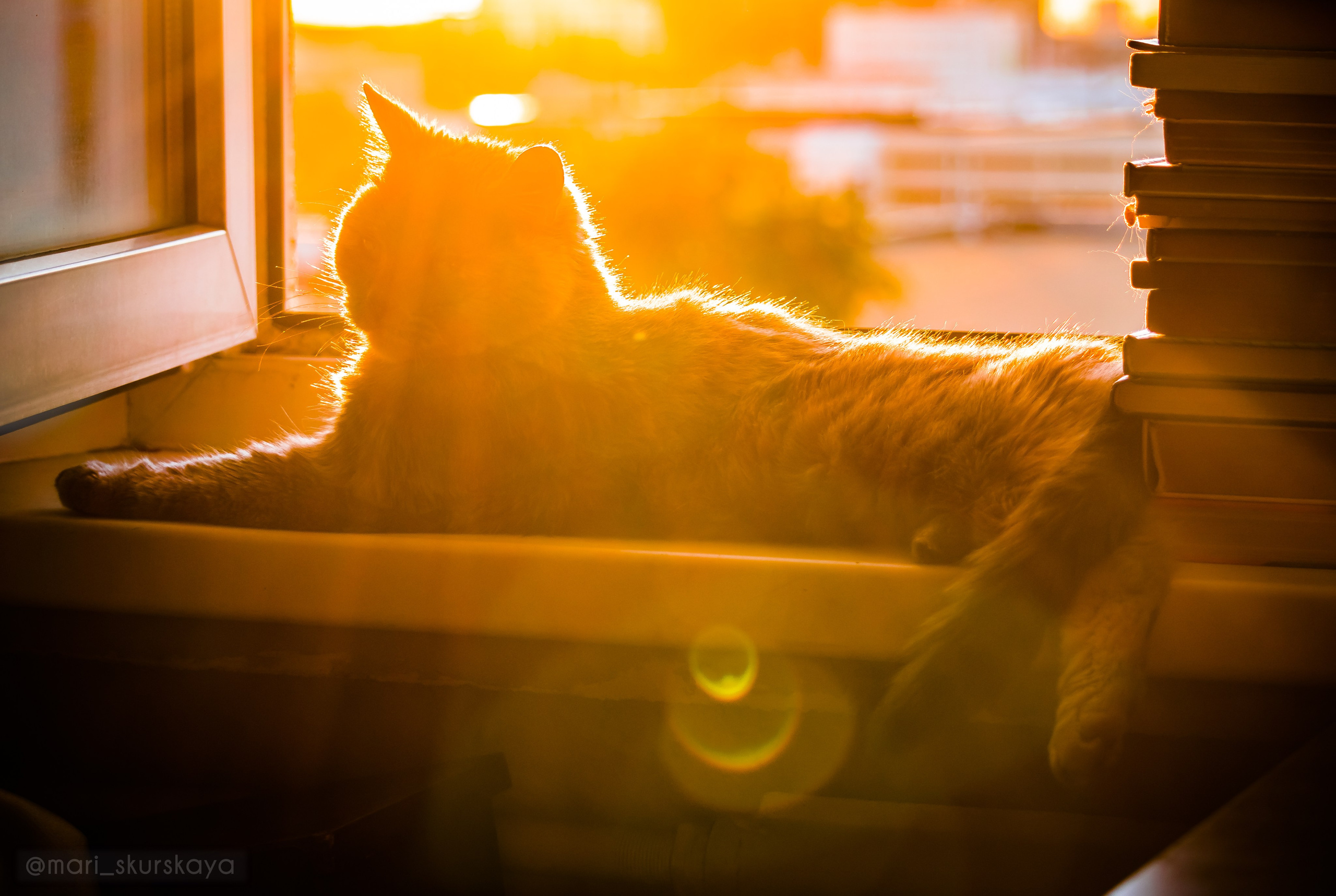 Закатный Санкт-Петербург. Мотофотограф в Санкт-Петербурге Мария Скурская