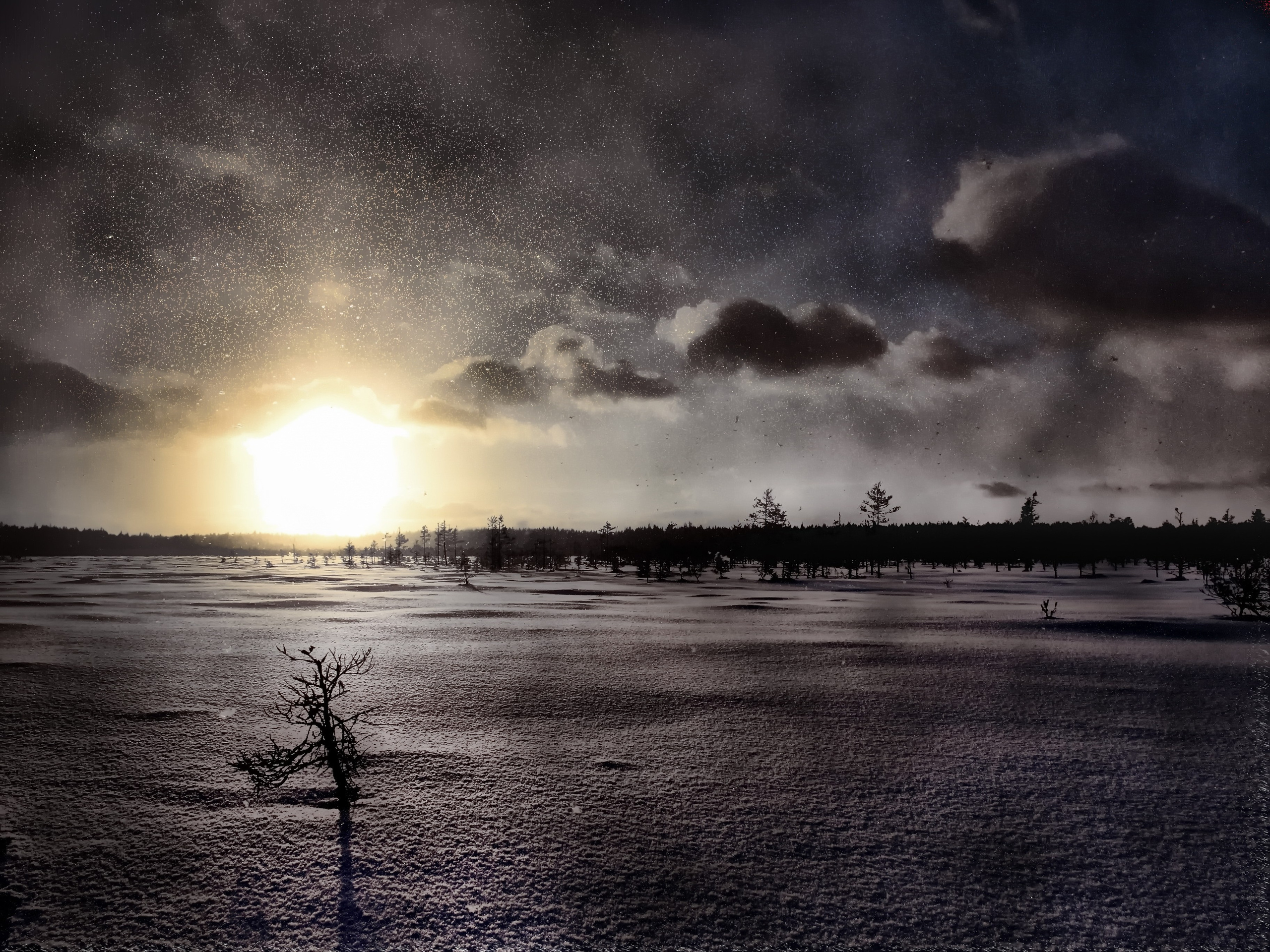 зима.редколесье.низкое солнце.снежная равнина.чёрное