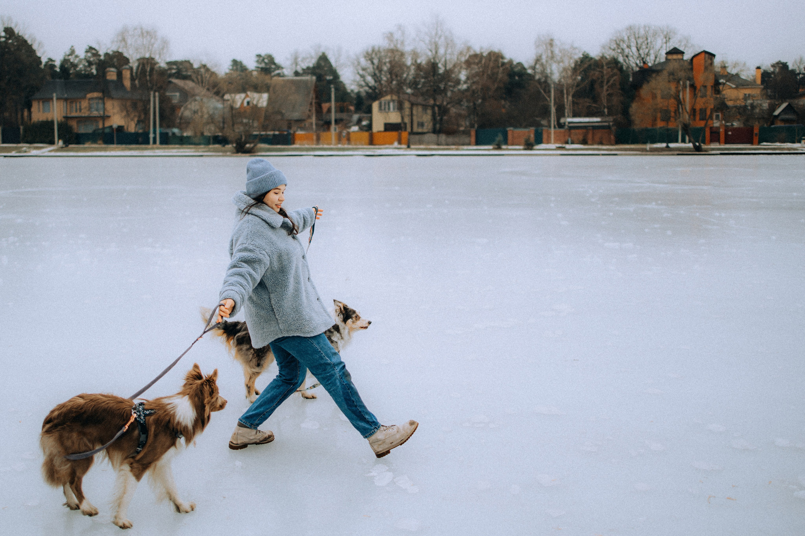 Полина, Милли и Паддингтон
