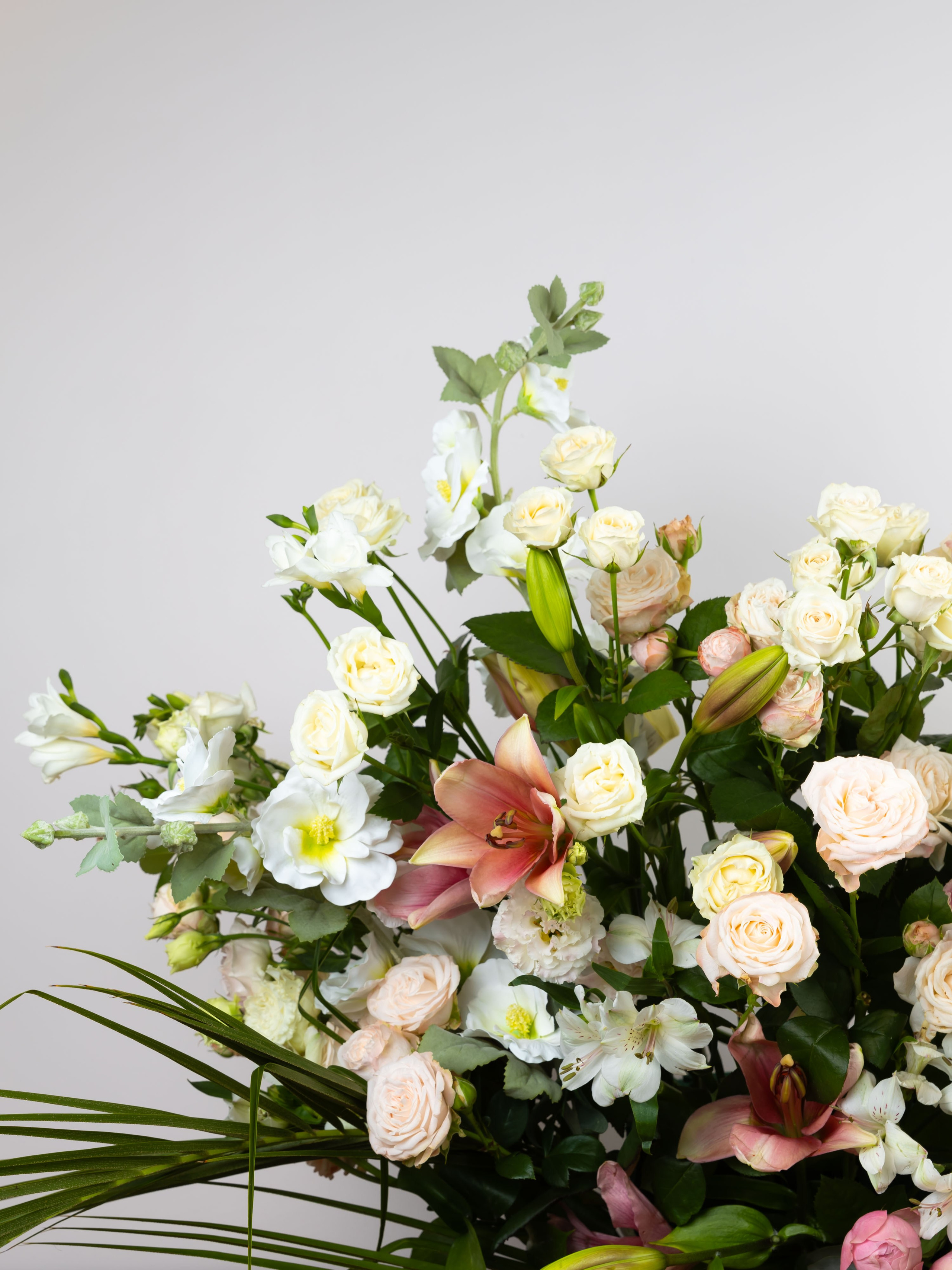 01.08.2025 Фотосессия Цветополис. ФОТОГРАФ ВИНОГРАДОВА ДАРЬЯ