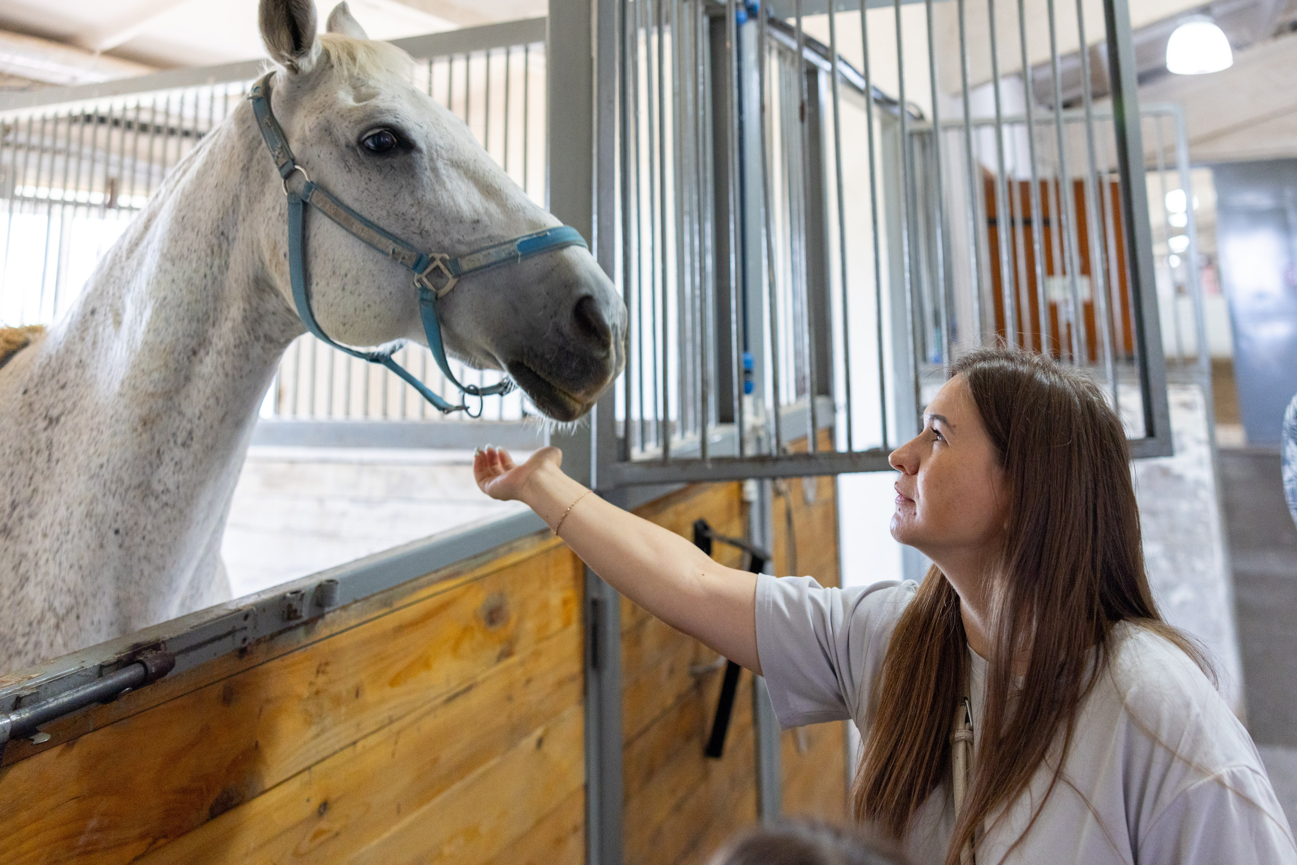 Поездка на поле Кулеково. Фотограф в Туле Крупский АнДРей. Фотостудия «КАДР71» в Туле