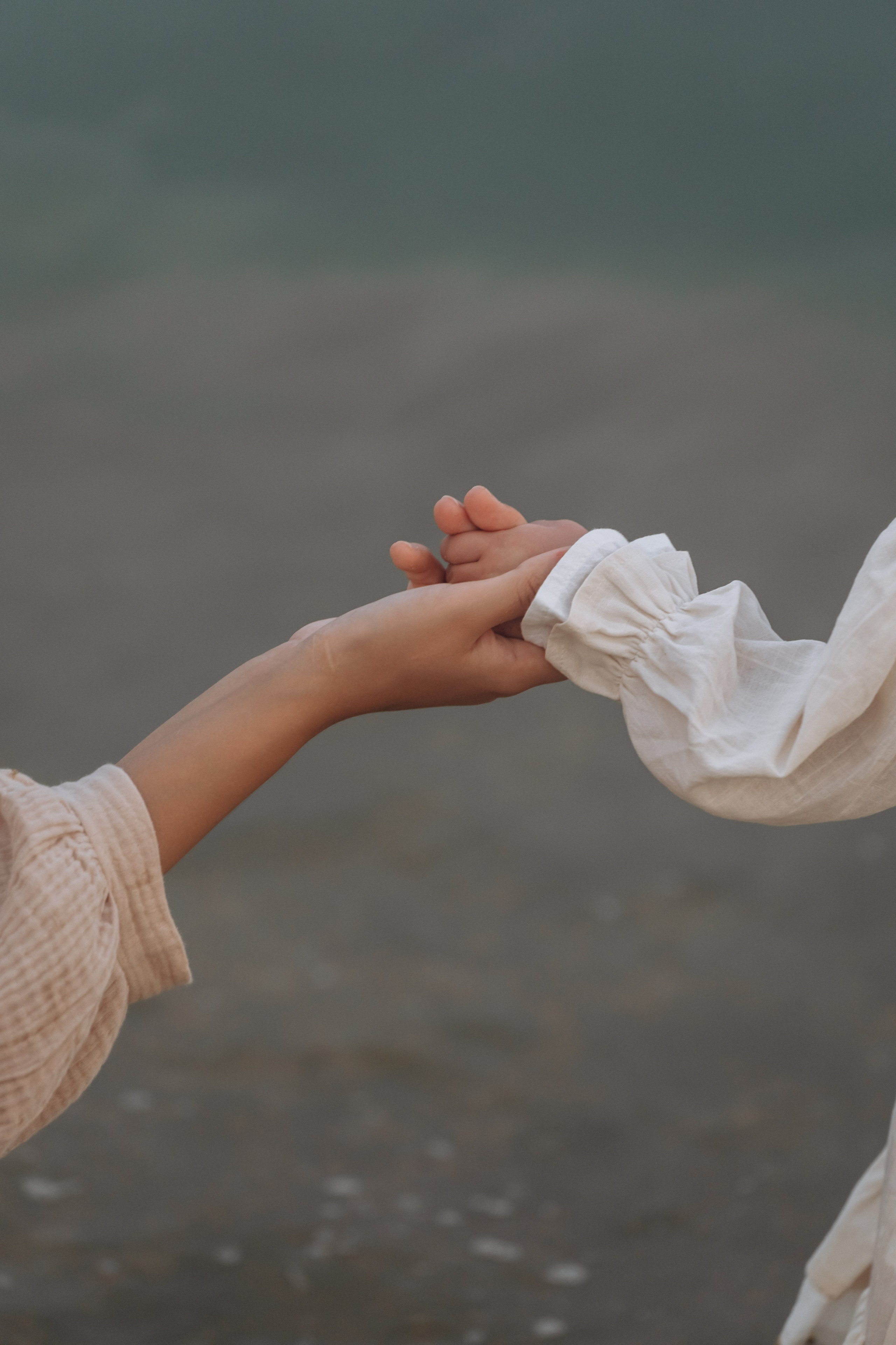 Анапский фотограф запечатлел момент - семья запускает воздушного змея, фотограф Анапа