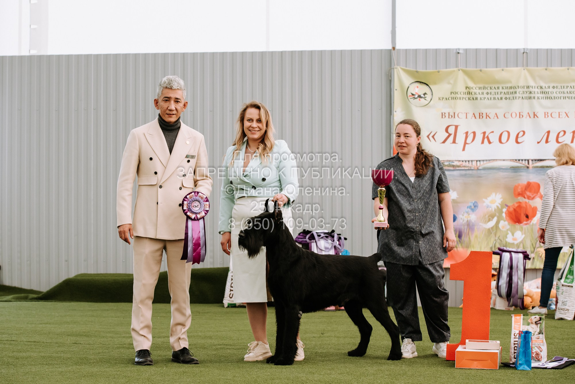 Выставка собак Красноярск 2.06. Фотограф Диана Оленина Красноярск / Братск