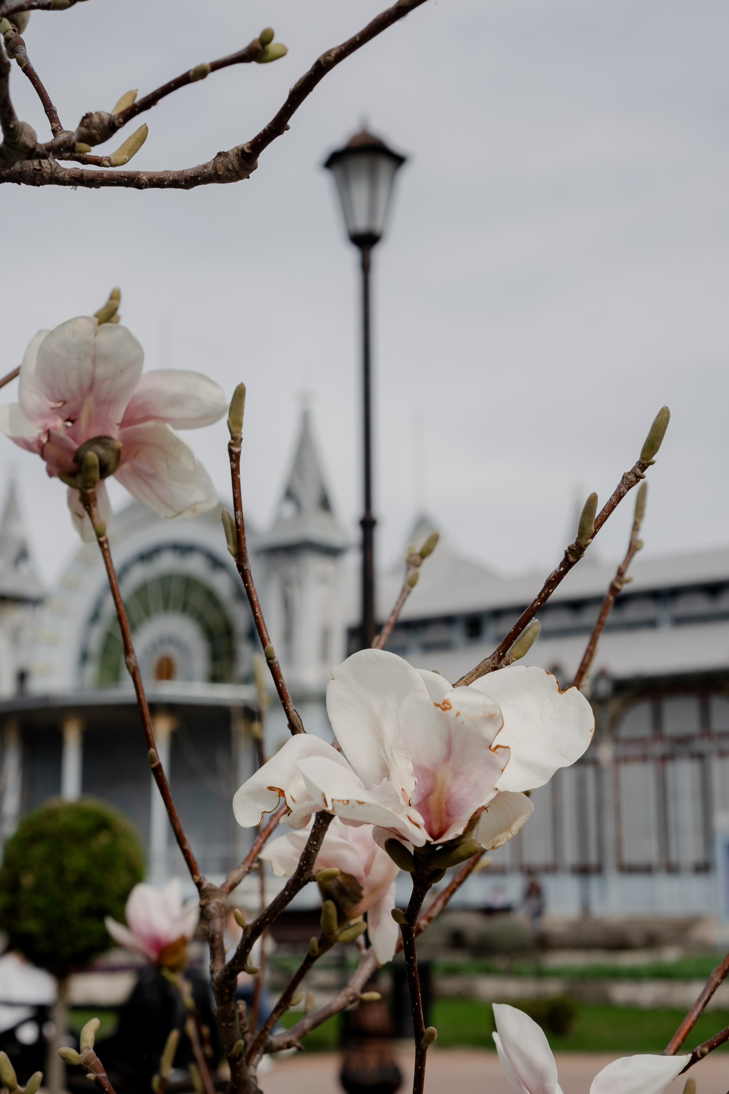 ПЯТИГОРСК. Профессиональный фотограф, Санкт-Петербург — Виктория Богомолова