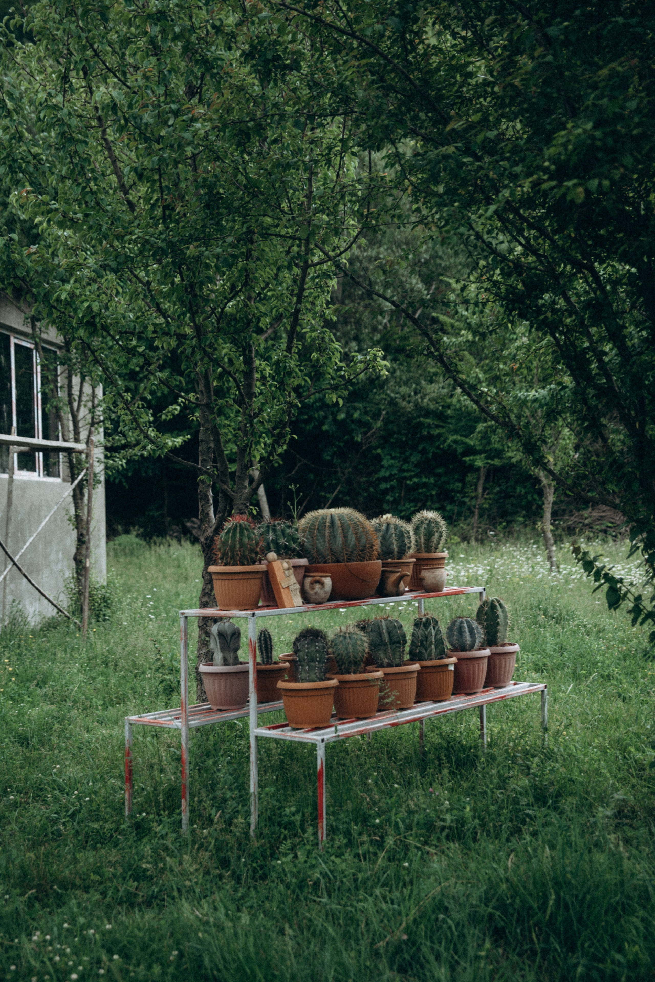 Медвежий приют, Грузия 🇬🇪. Anita_photo