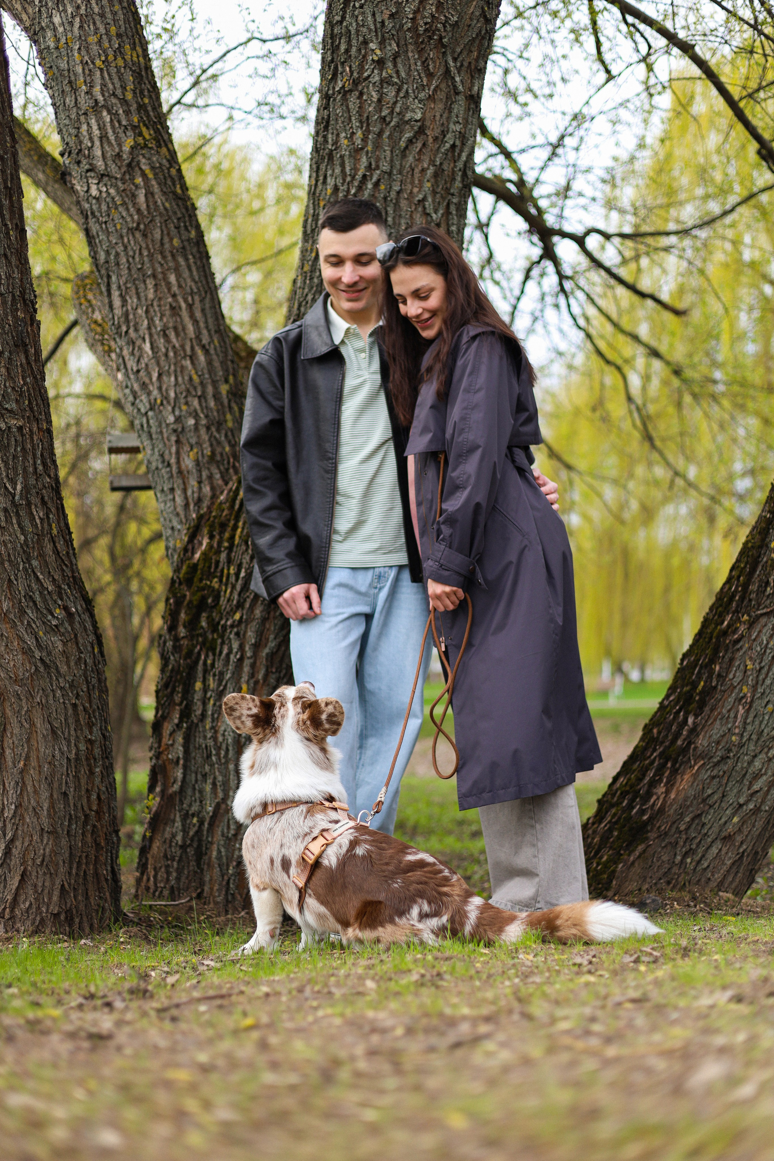 Анджей, Софья и Андрей. Фотограф-анималист Ксения Шевцова|Москва