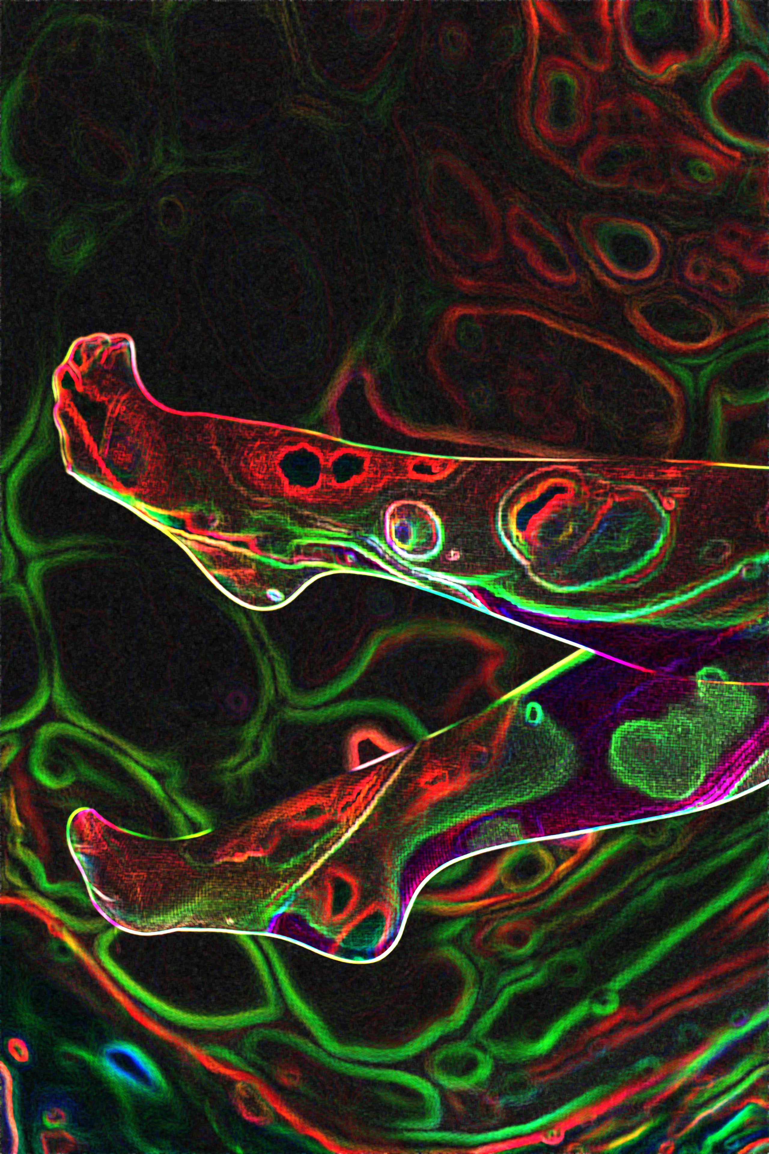 Arts. Фотограф в Москве Десятова Ксения