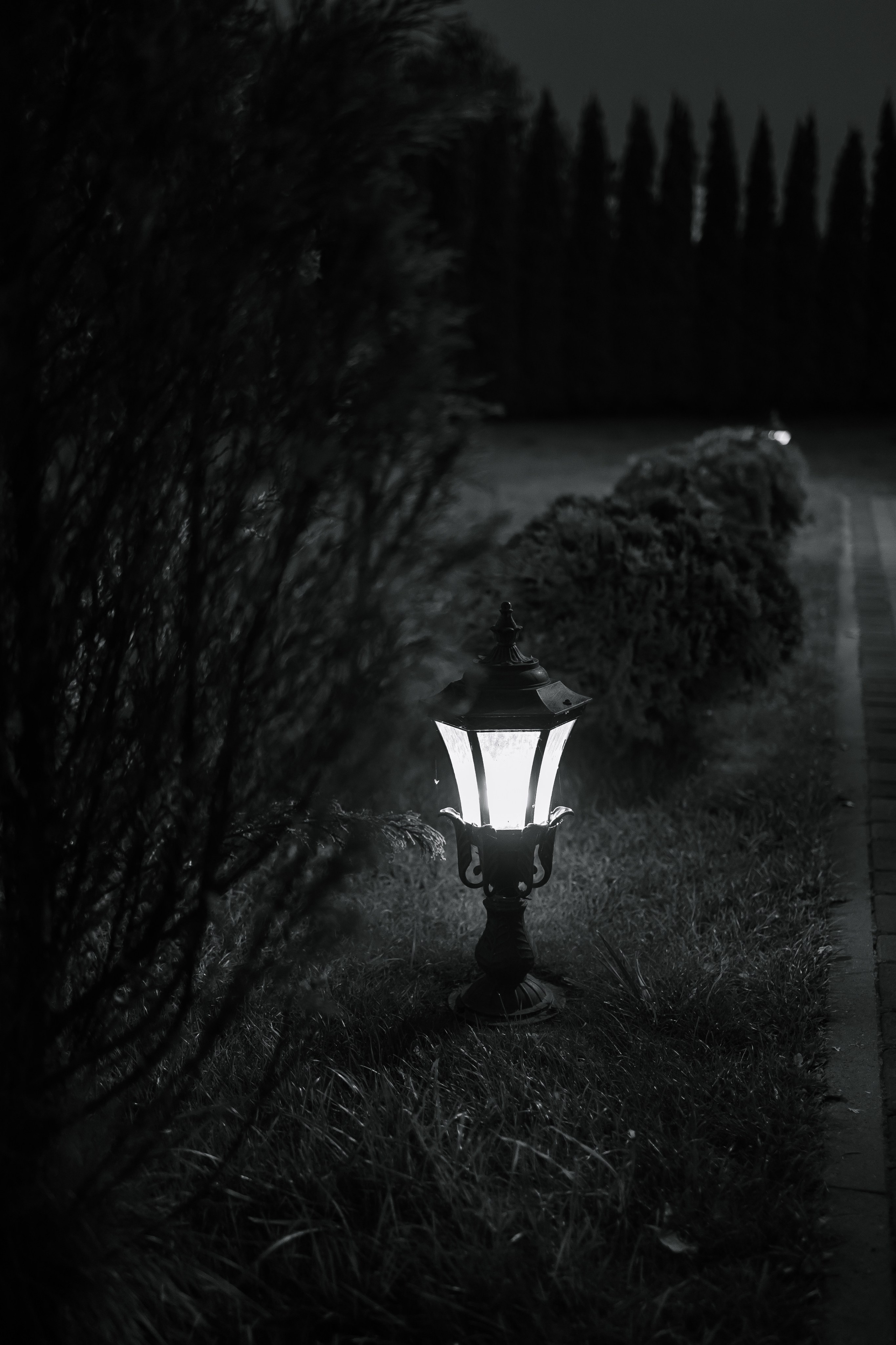 Aleksey&Viktoriya. Свадебный фотограф