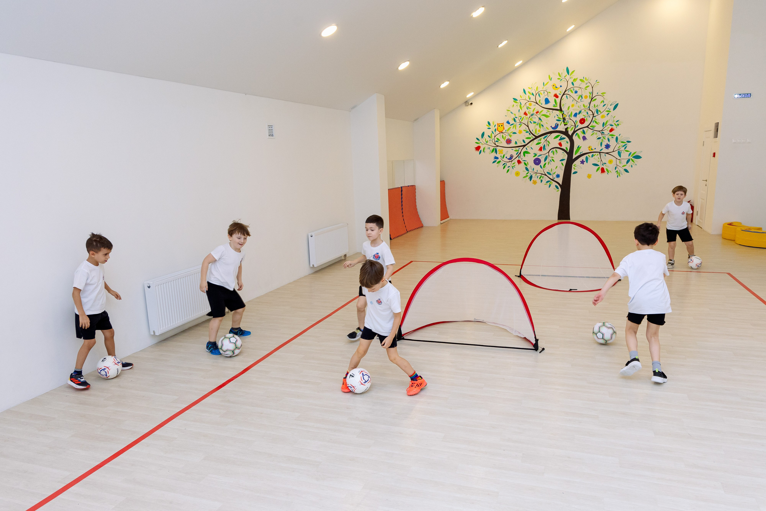 Школа и сад