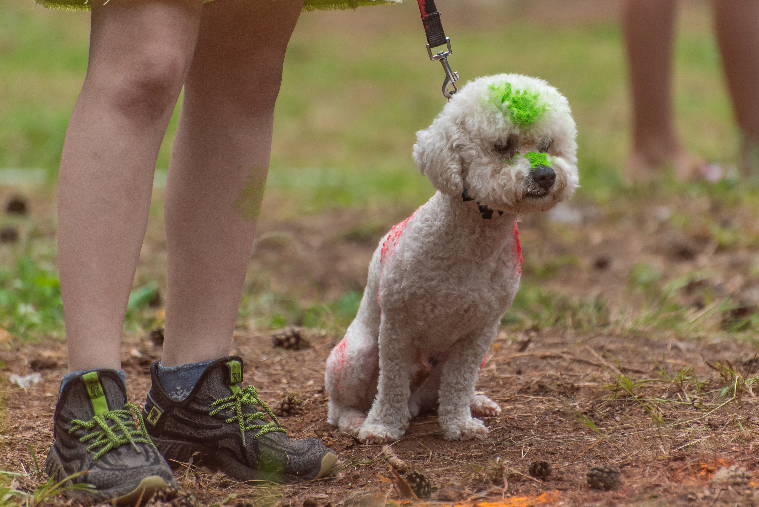 Хвостатые каникулы Детский кинологический лагерь. Фотограф Макс Огурцов в Нижнем Новгороде