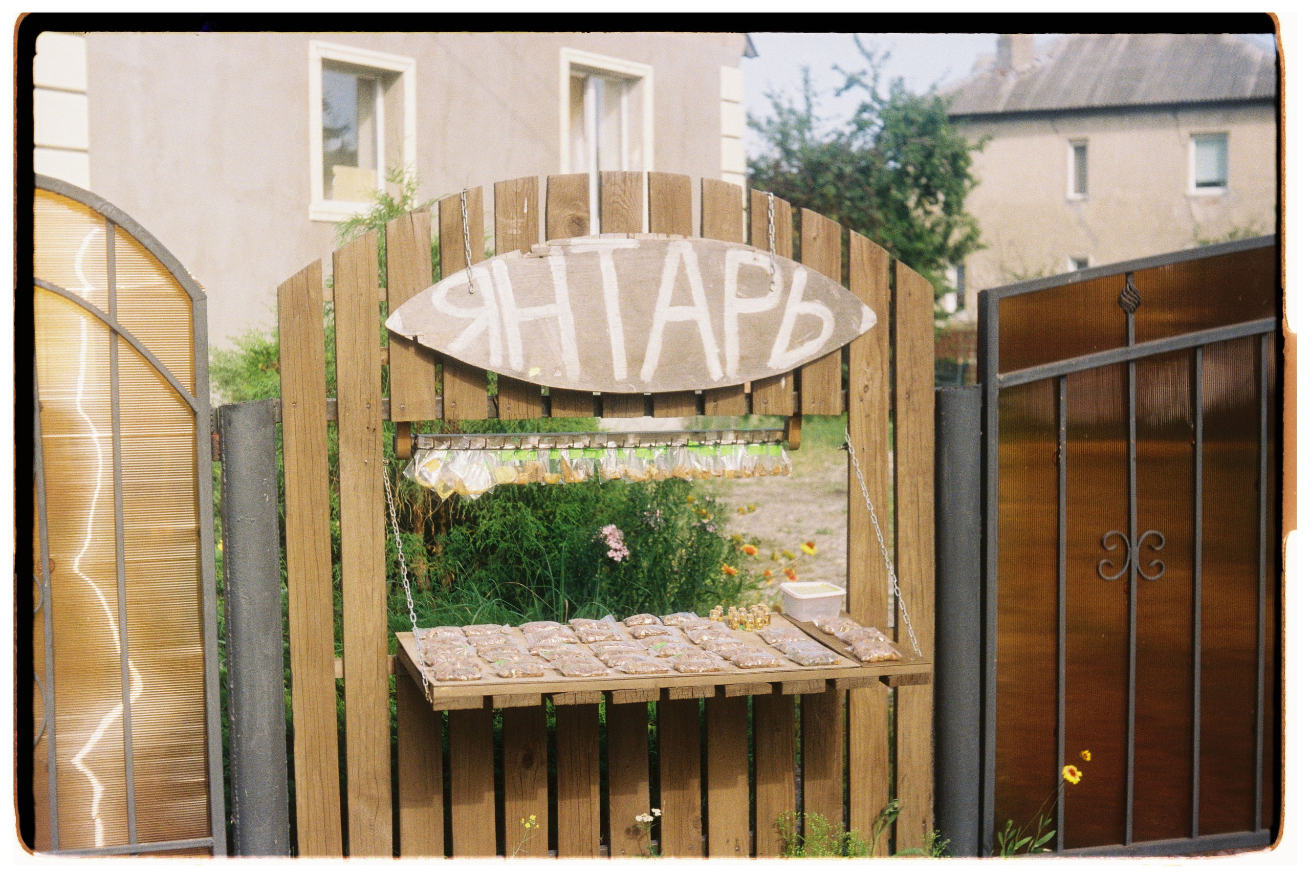 И вокруг меня. Портретный и концертный фотограф в Санкт-Петербурге Егор Телятников