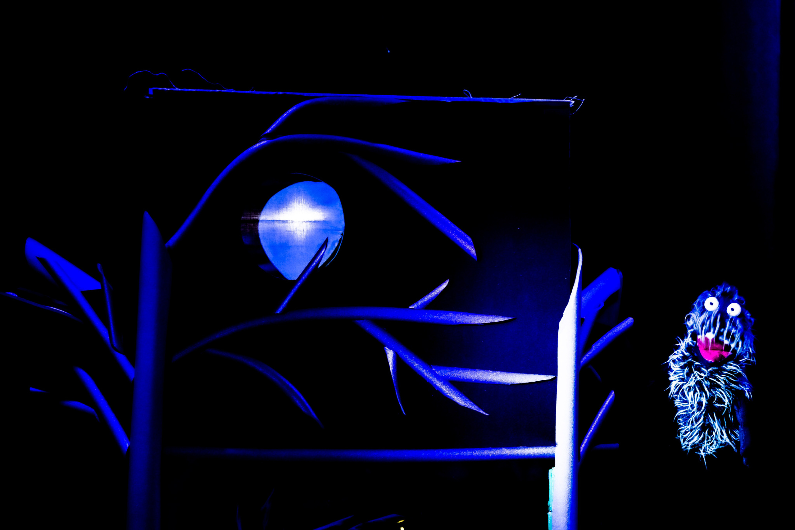 «Муми тролли и большое наводнение». Фотограф в Сочи Юрий Шептаев